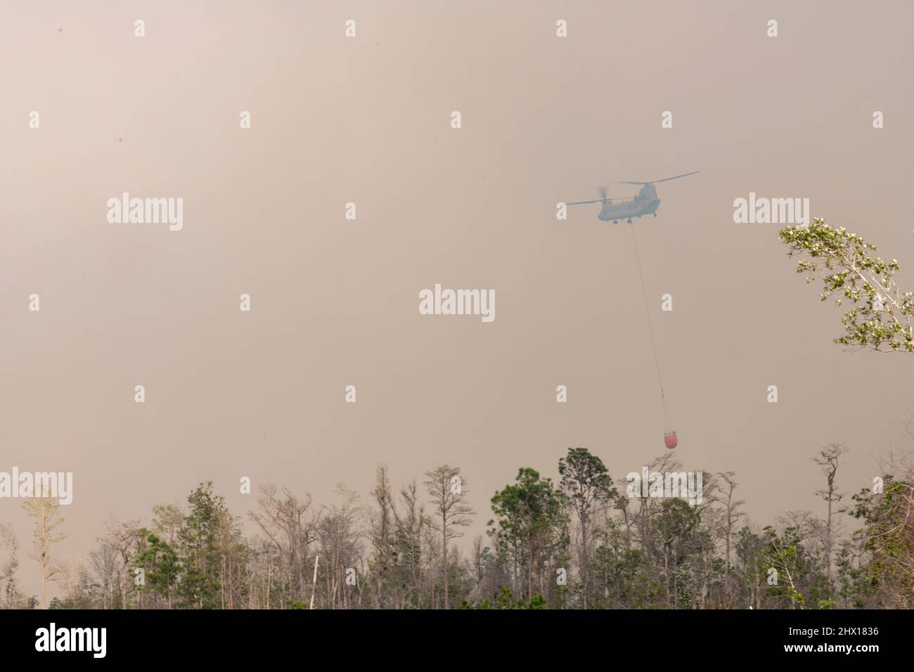 UH-60 Blackhawk and CH-47 Chinook helicopter crews from the Florida ...