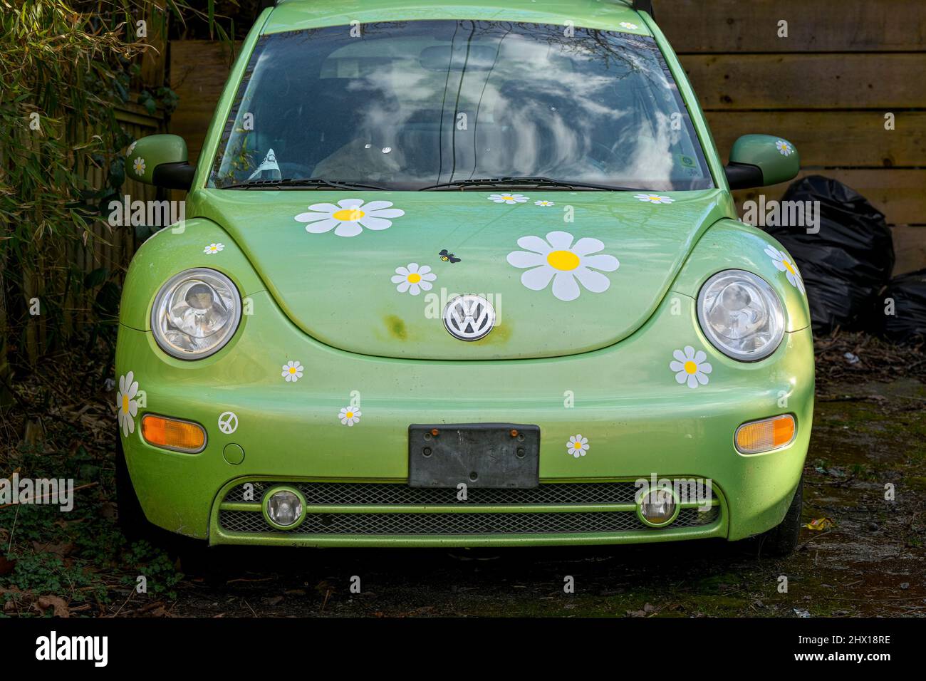 Love bug, flower power, Volkswagen Beetle car Stock Photo Alamy