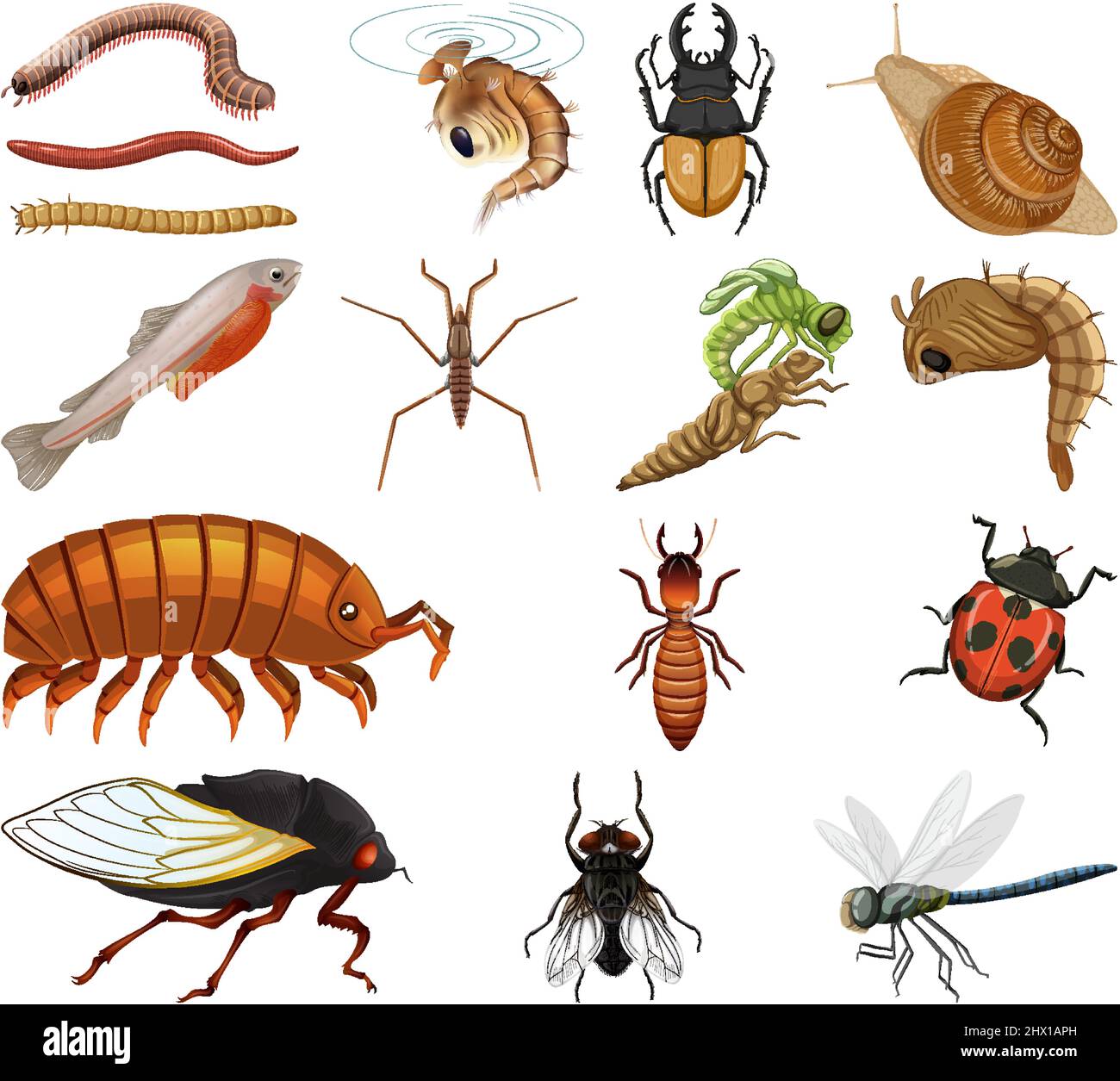 Different kinds of insects and animals on white background illustration ...