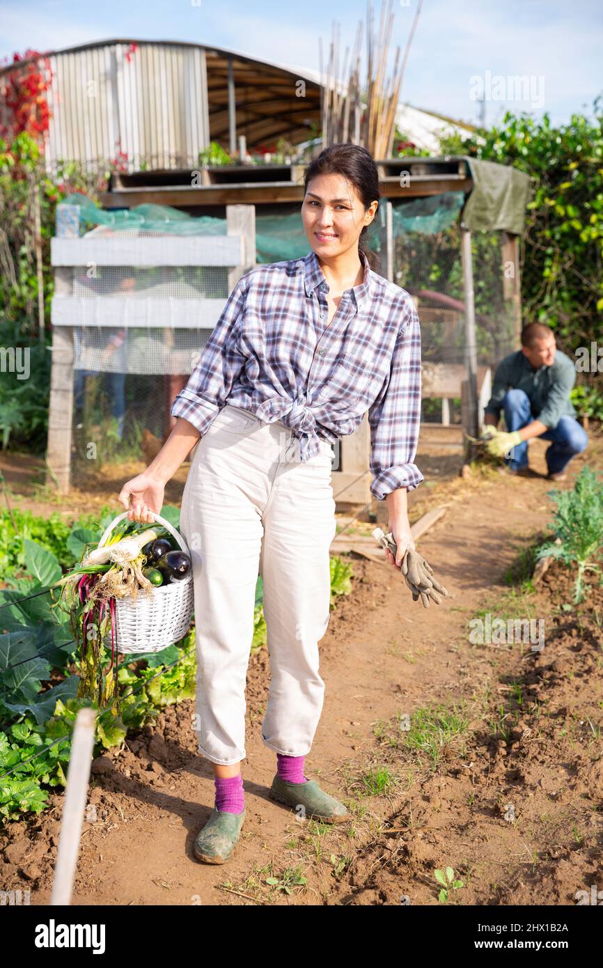 Happy woman gardener carrying basket with harvested vegetables Stock ...
