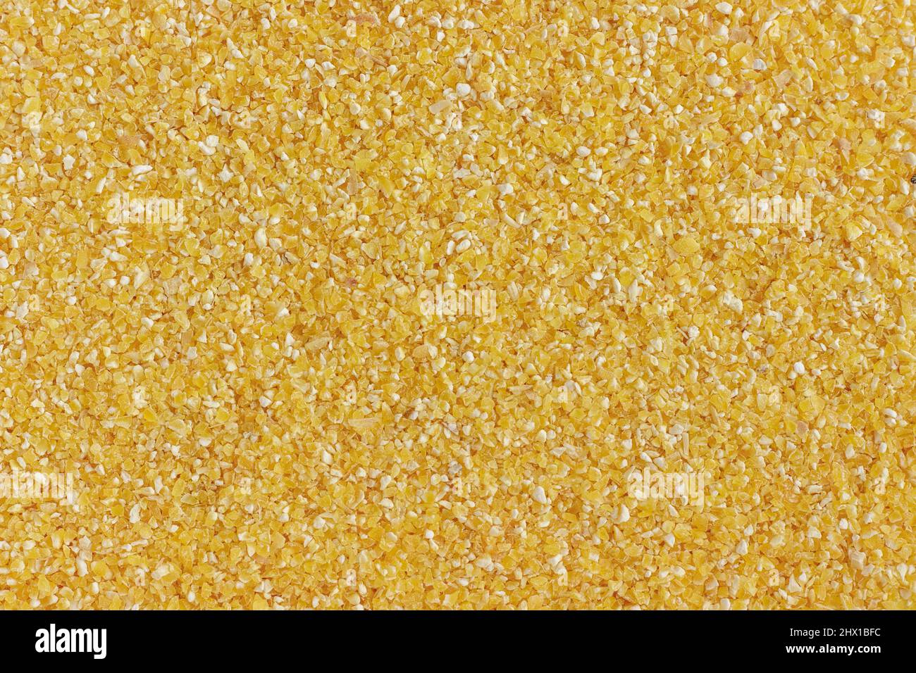Corn grits for cooking tasty and healthy food. Close-up. Background, texture. Stock Photo