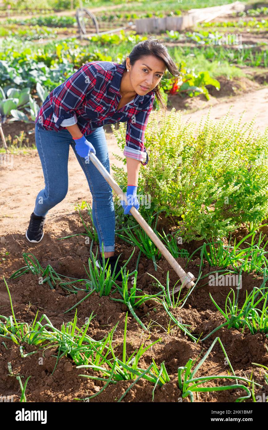 Multicultural vegetable garden hi-res stock photography and images - Alamy