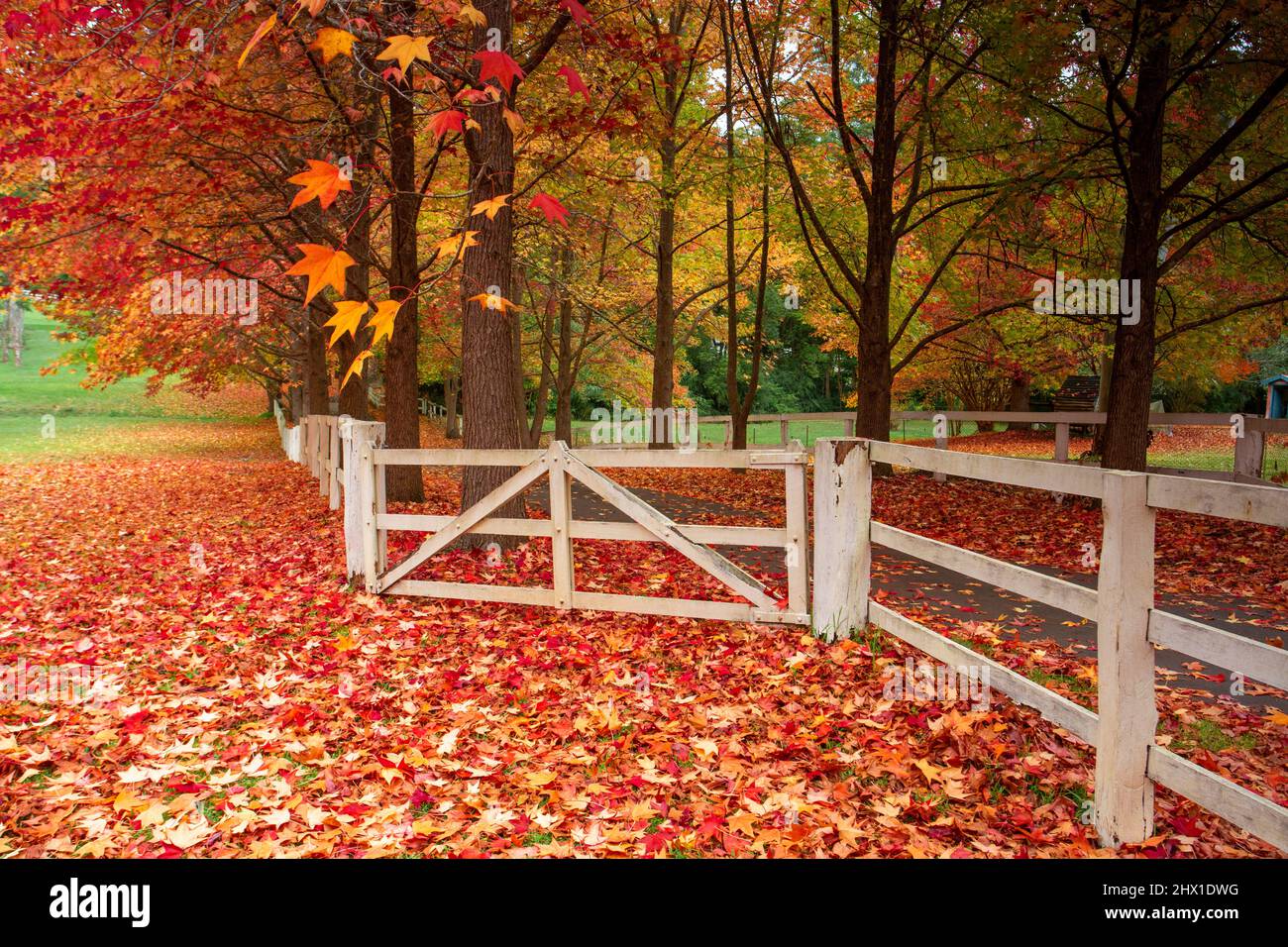 Timber fence hi-res stock photography and images - Alamy