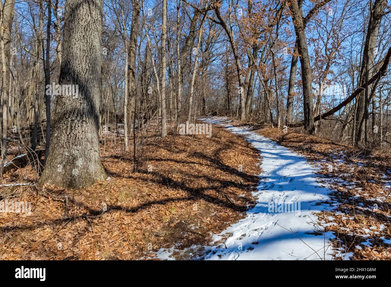 Trail through an oakhickory forest in the Ott Biological Preserve