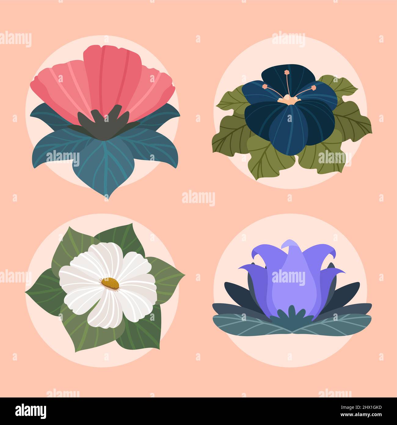 icons spring flower Stock Vector Image & Art - Alamy