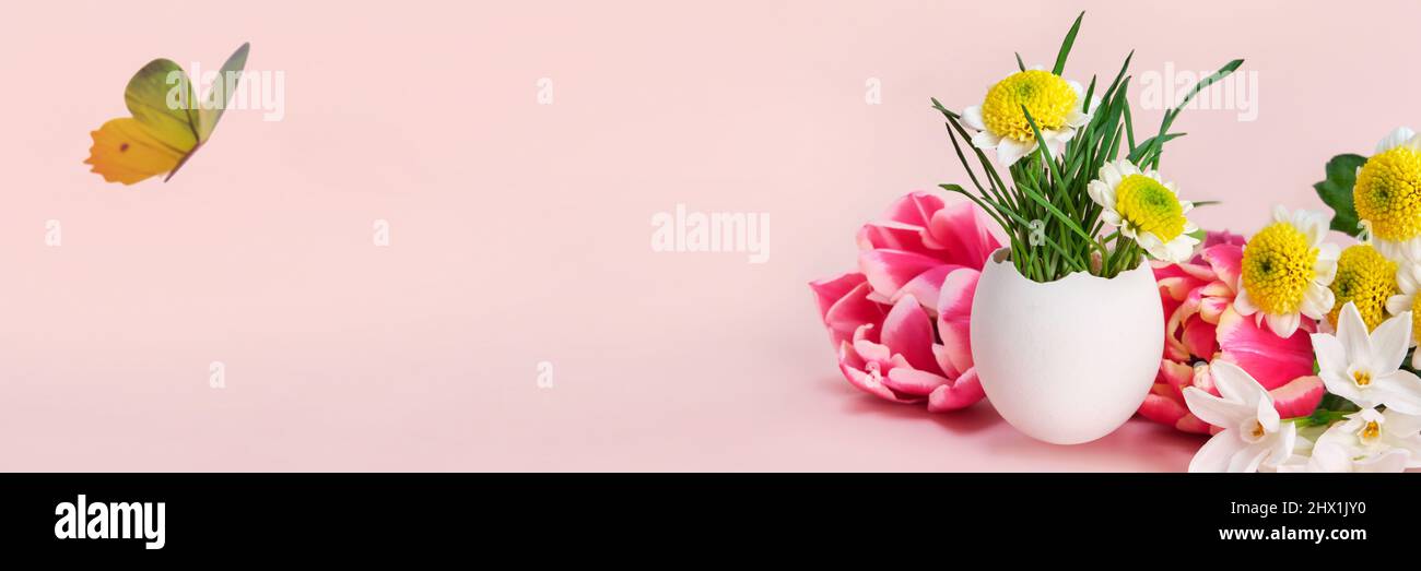 Easter creative composition. Spring flowers, Easter egg and butterflies on pink banner. Easter card. Stock Photo