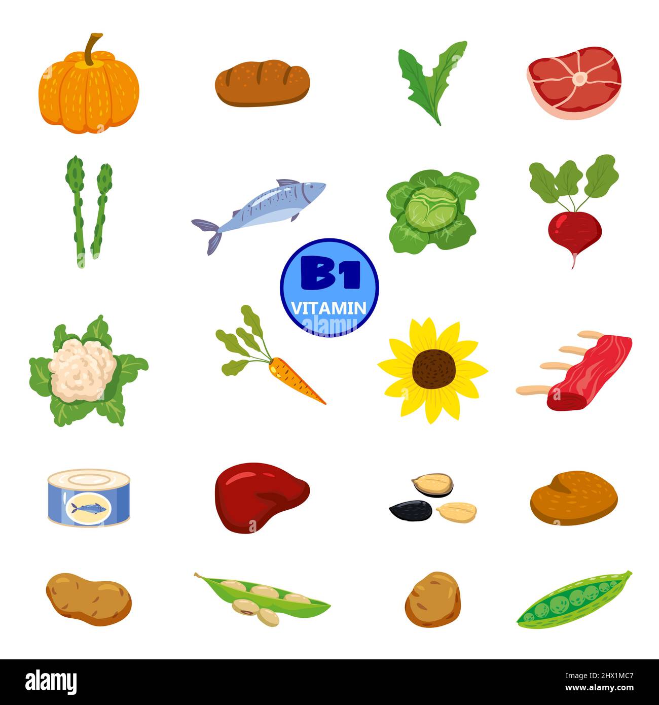 Set of Vitamin B origin natural sources. Healthy diary food, thiamin