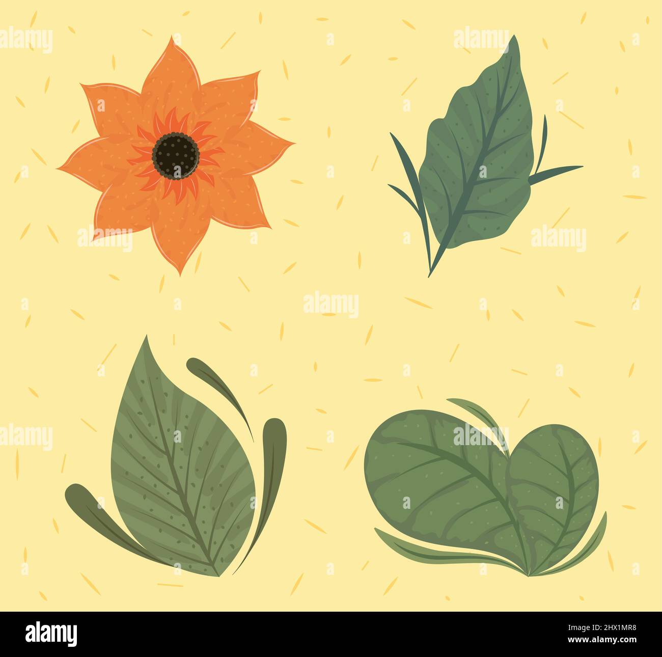 spring flower leaves Stock Vector Image & Art - Alamy