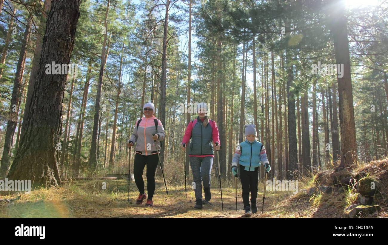 Woman do Nordic walking in nature. Girls and children use trekking sticks and nordic poles, backpacks. Family travels and goes in for sports. Kid is learning from mother and grandmother the proper technique of nordic walk. Autumn forest. Stock Photo