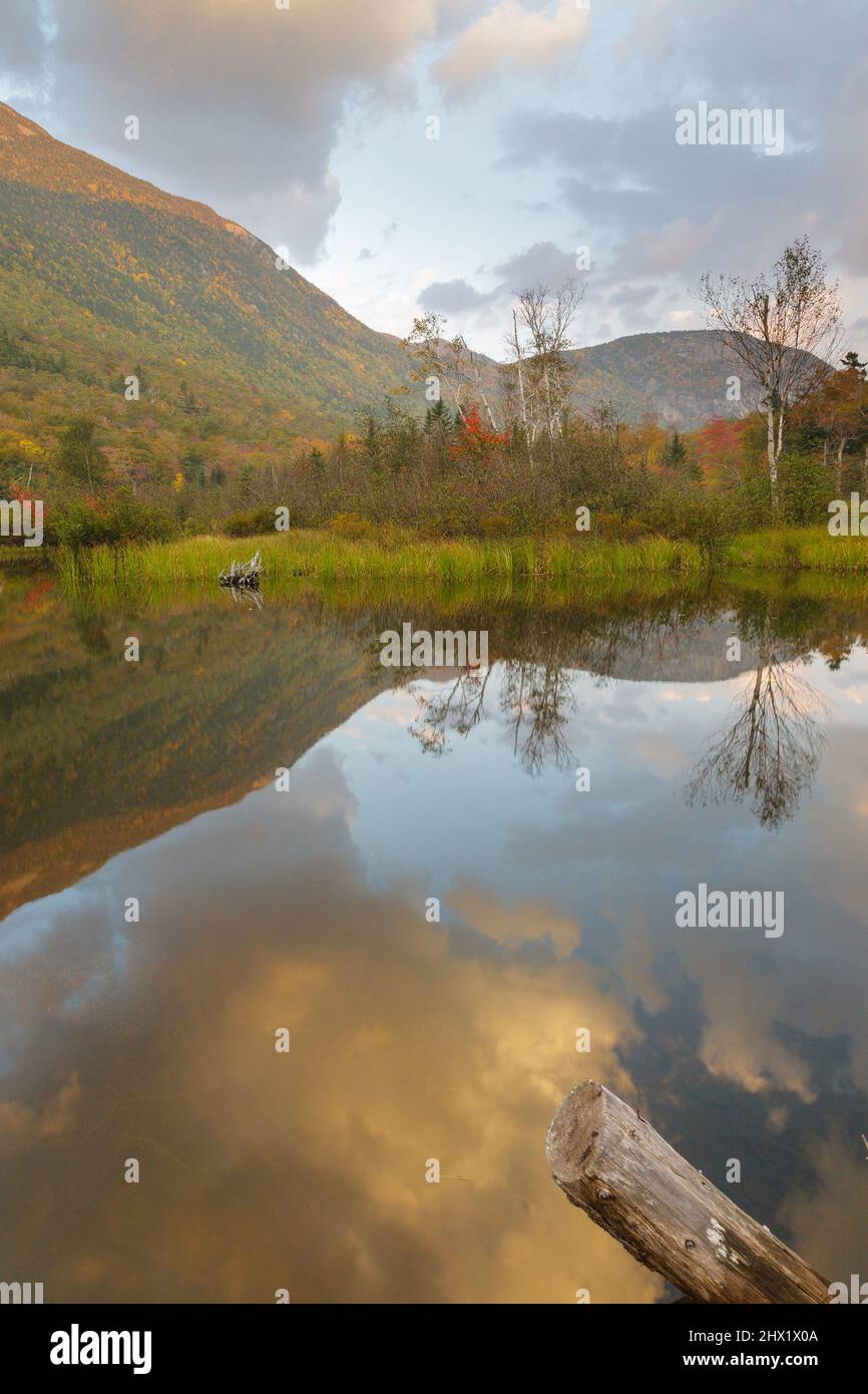 Reflection of Mount Willard in Willey Pond at the Willey House