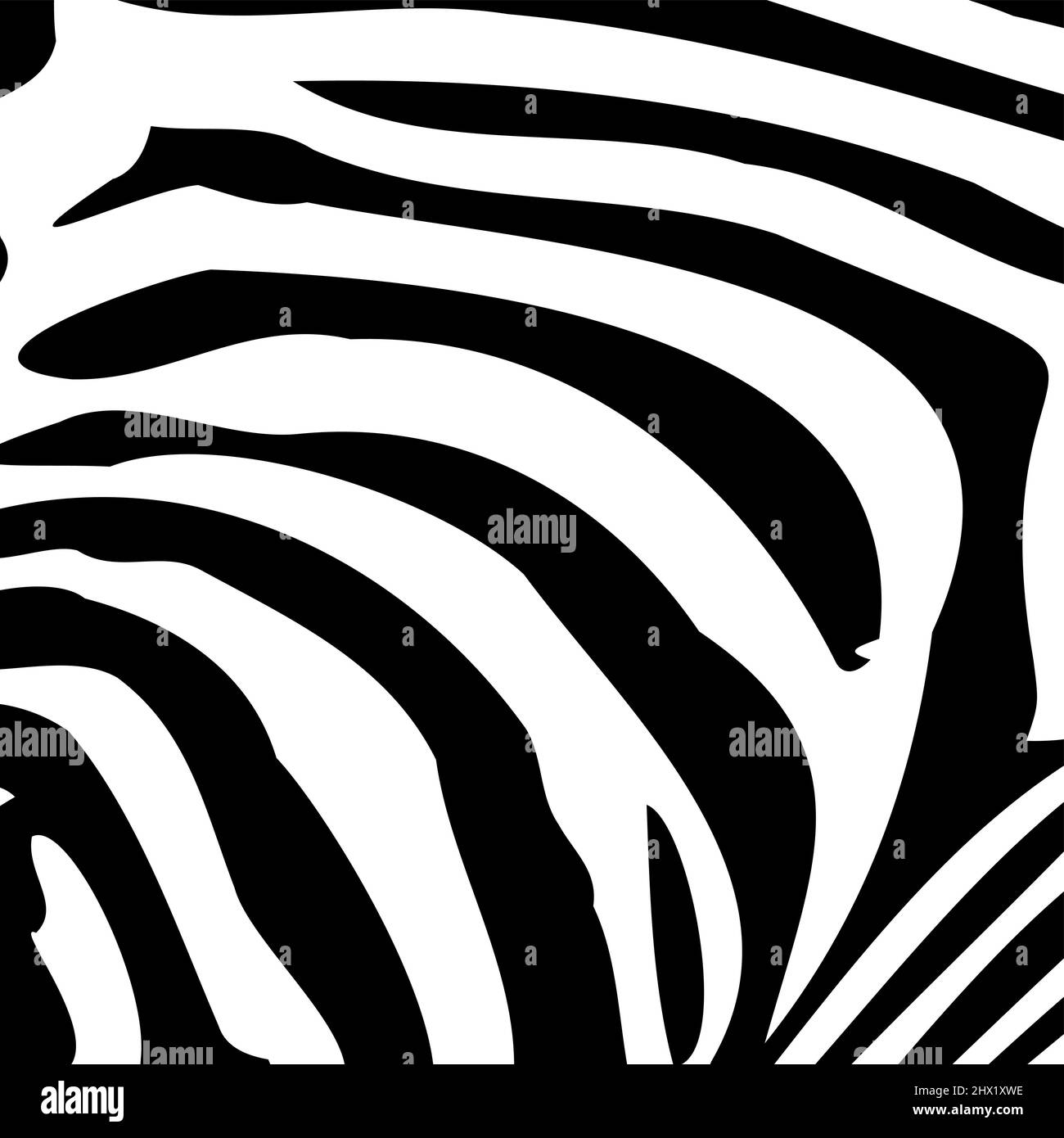 Zebra stripes background. Vector illustration Stock Vector Image & Art