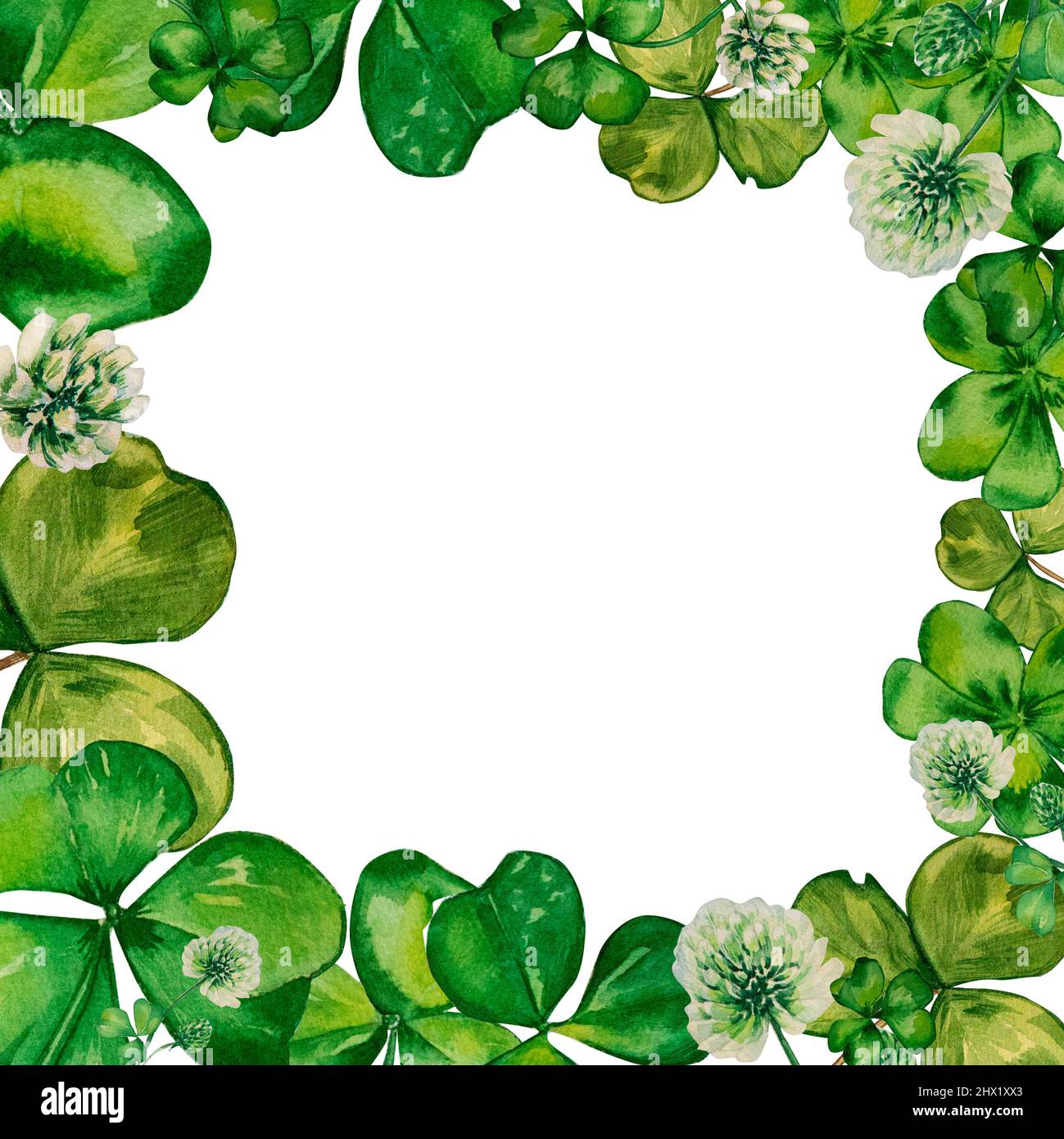 Green Flowers Circle Frame Watercolor Paint Backgrounds