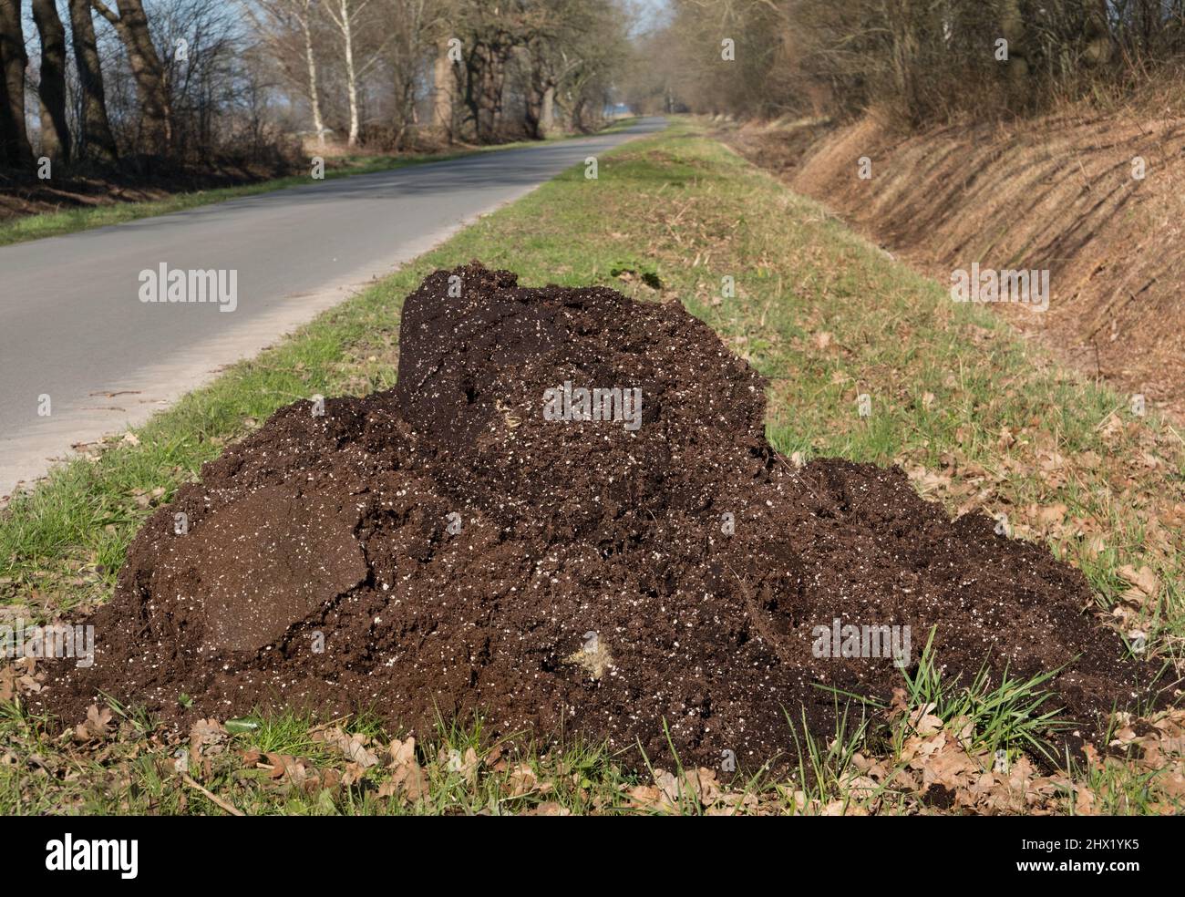 Heap of germination media with perlite, used in illegal hemp cultivation, dumped in the roadside Stock Photo