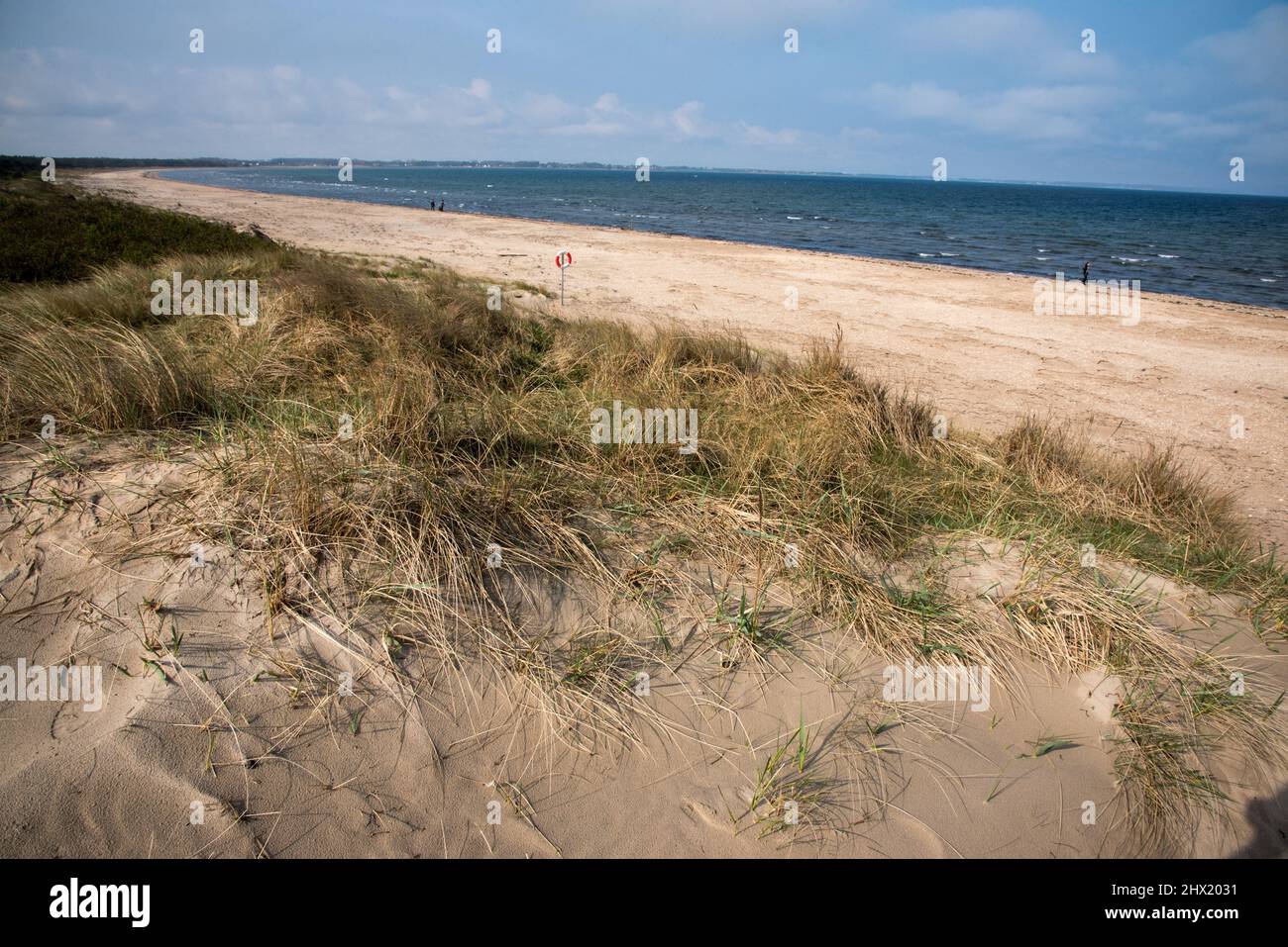 sand dunes in nature reserve Angelholms Strandkog just along Kattegat coast in Skåne län in Southern Sweden. Stock Photo