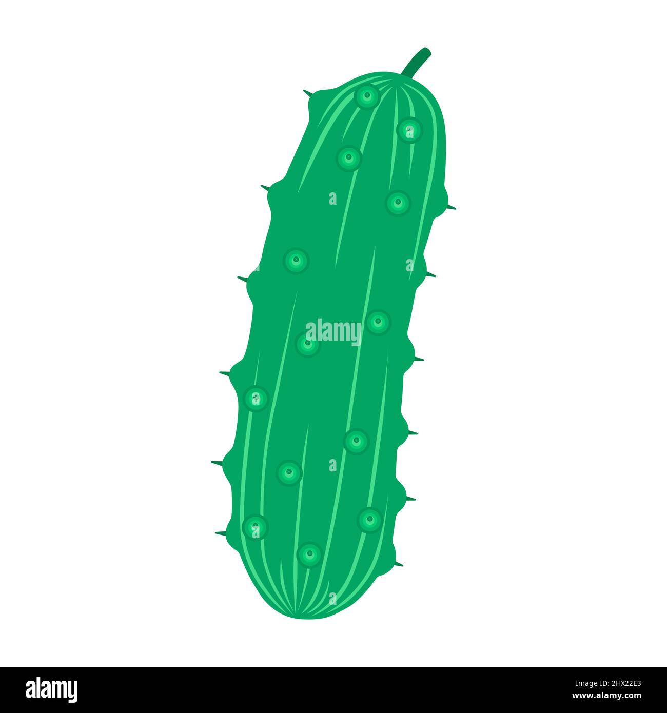 Cucumber. Organic fruit, vegetable and berries isolated on white