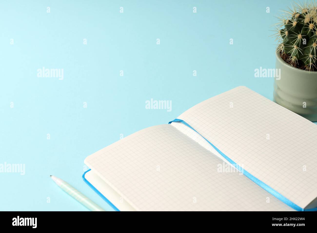 Concept of accessories for office or study, space for text Stock Photo