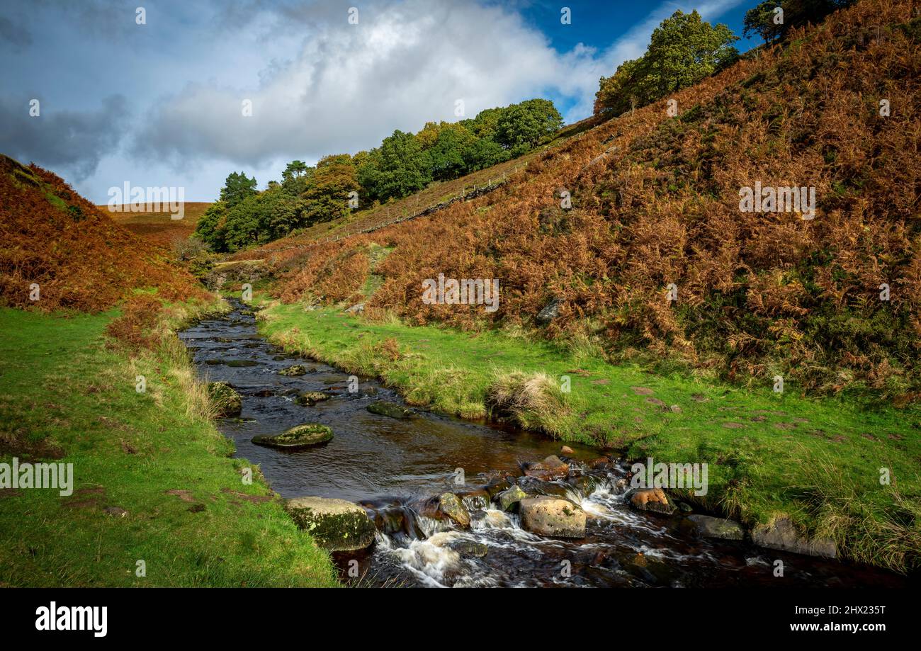 River Dane flowing down a valley away from Three Shires Head in the Peak District National Park England UK Stock Photo