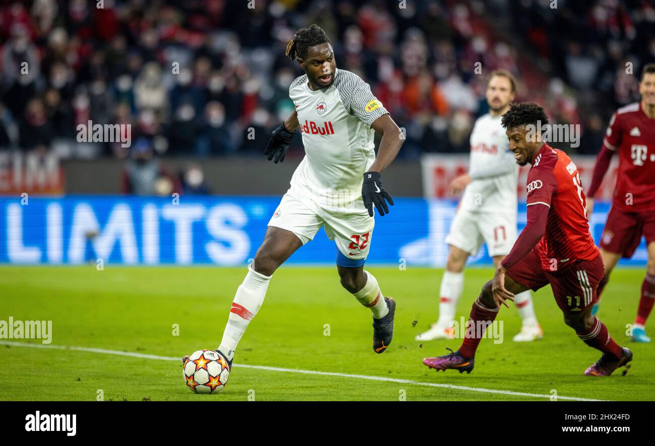 Fc salzburg champions league hi-res stock photography and images - Page 4 -  Alamy