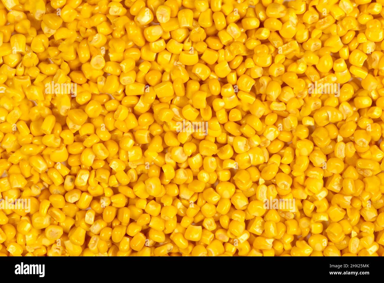 HD wallpaper: Corn Field Artistic Wallpaper 2560×1600 | Wallpaper Flare