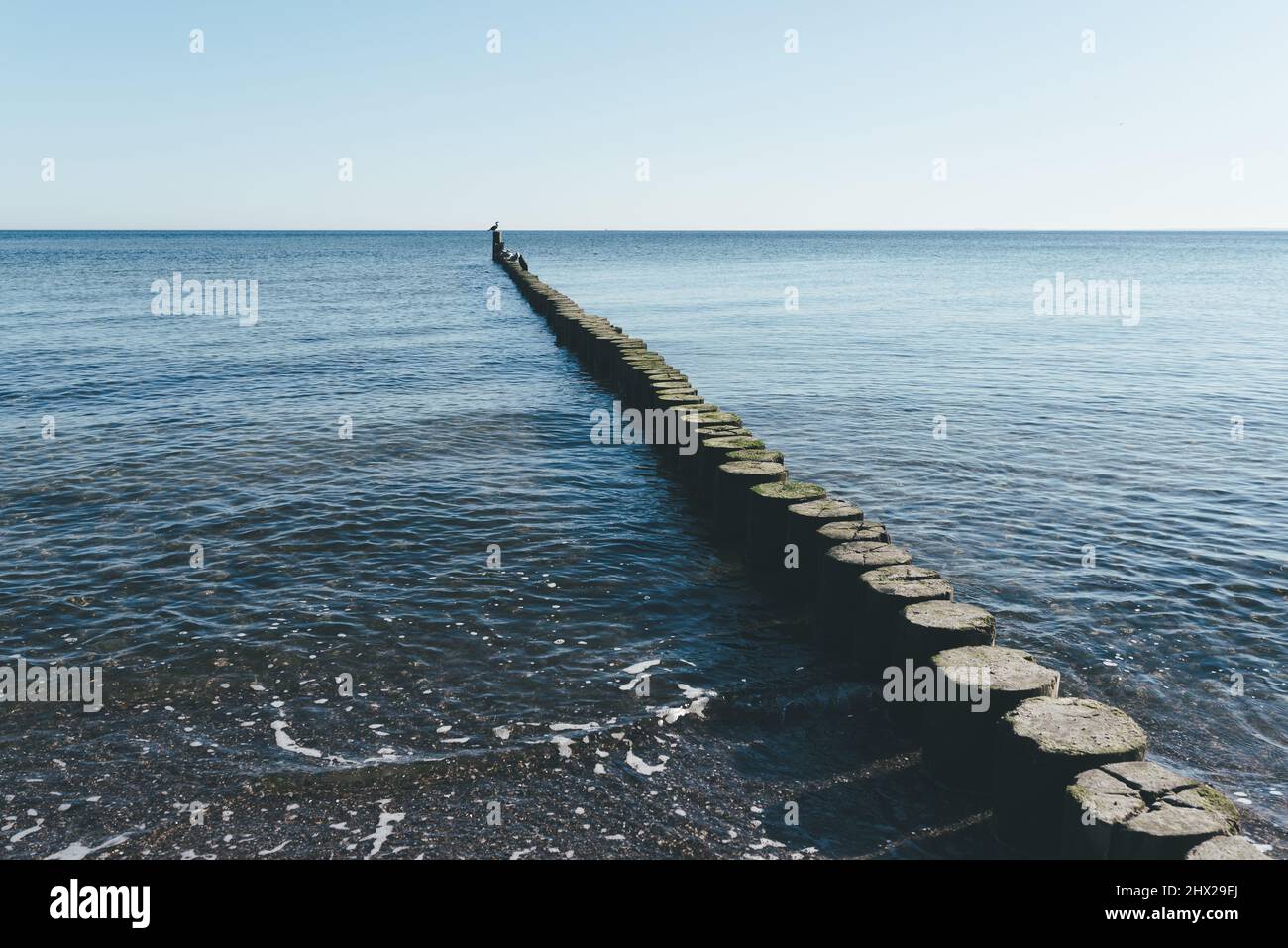 wooden breakwater in calm baltic sea against blue sky Stock Photo