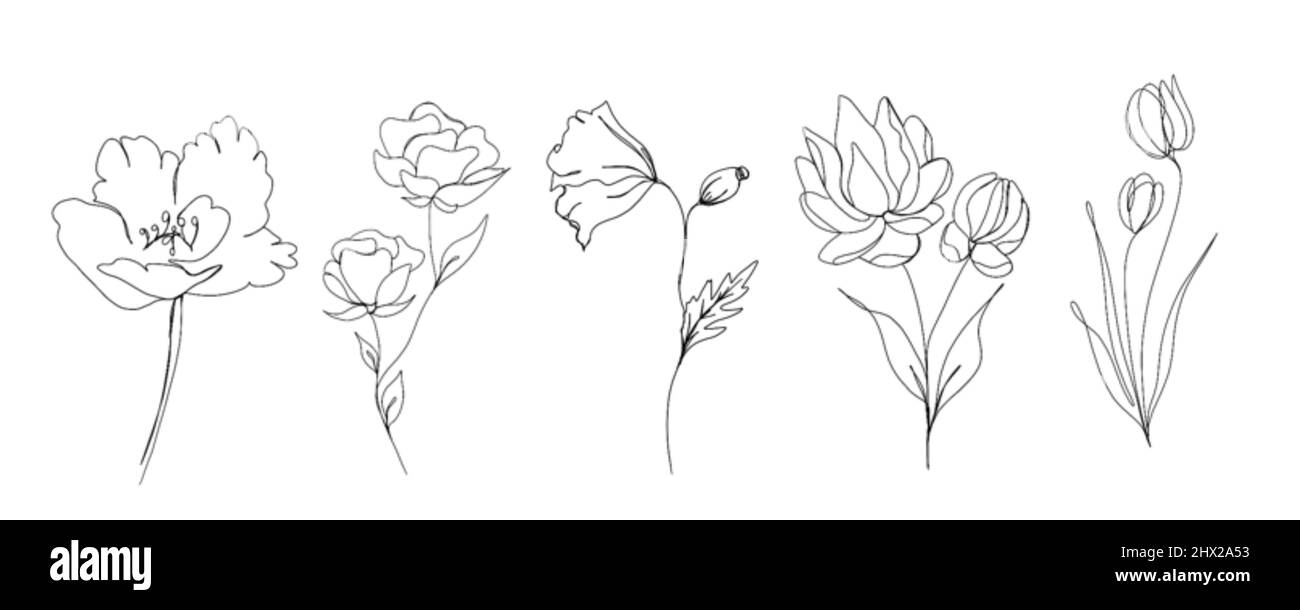 Big set of flowers continuous line drawing. One line art. minimalism ...