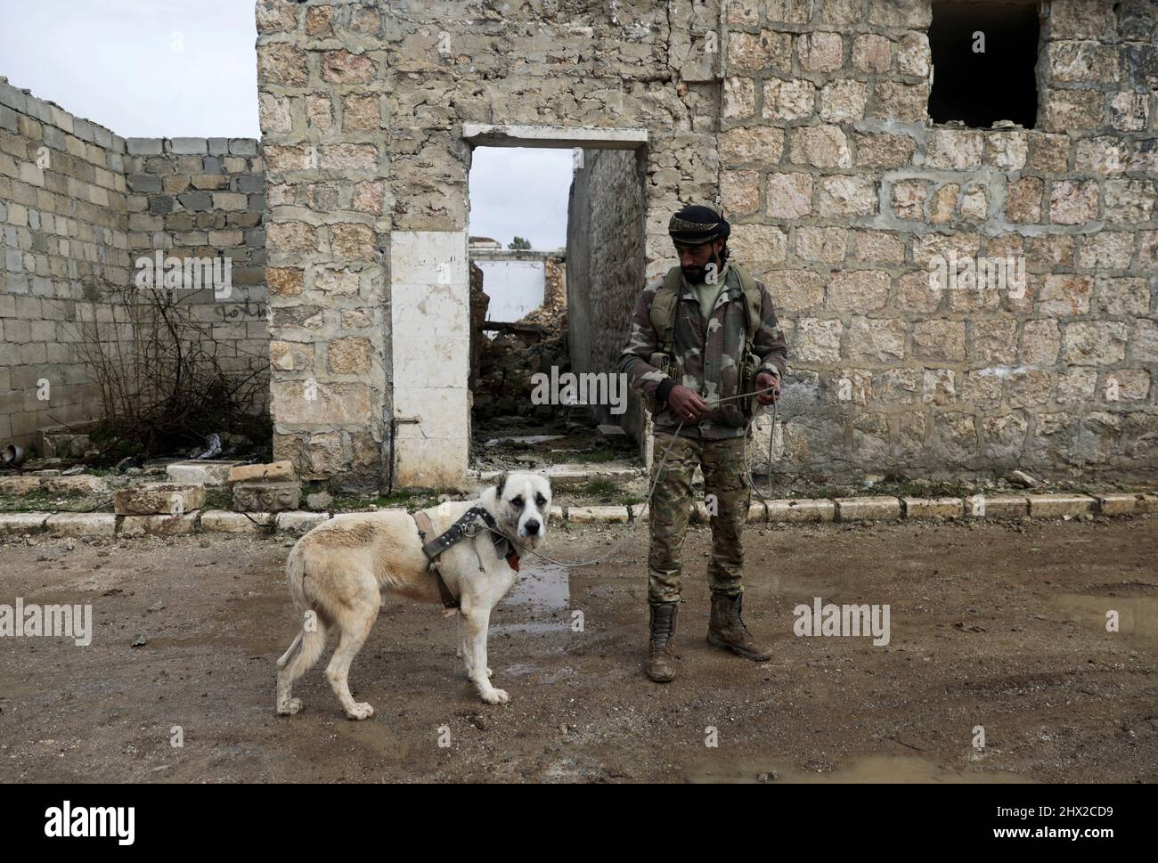A Syrian rebel fighter walks with a dog in the town of Tadef, on a frontline between Russian-backed Syrian government forces and Turkey-backed Syrian rebel-held territory, in northern Syria March 3, 2022. Picture taken March 3, 2022.  REUTERS/Khalil Ashawi Stock Photo