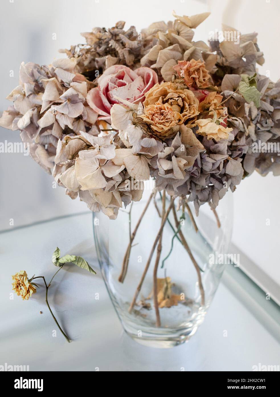 Dried flower bouquet in glass vase Stock Photo Alamy