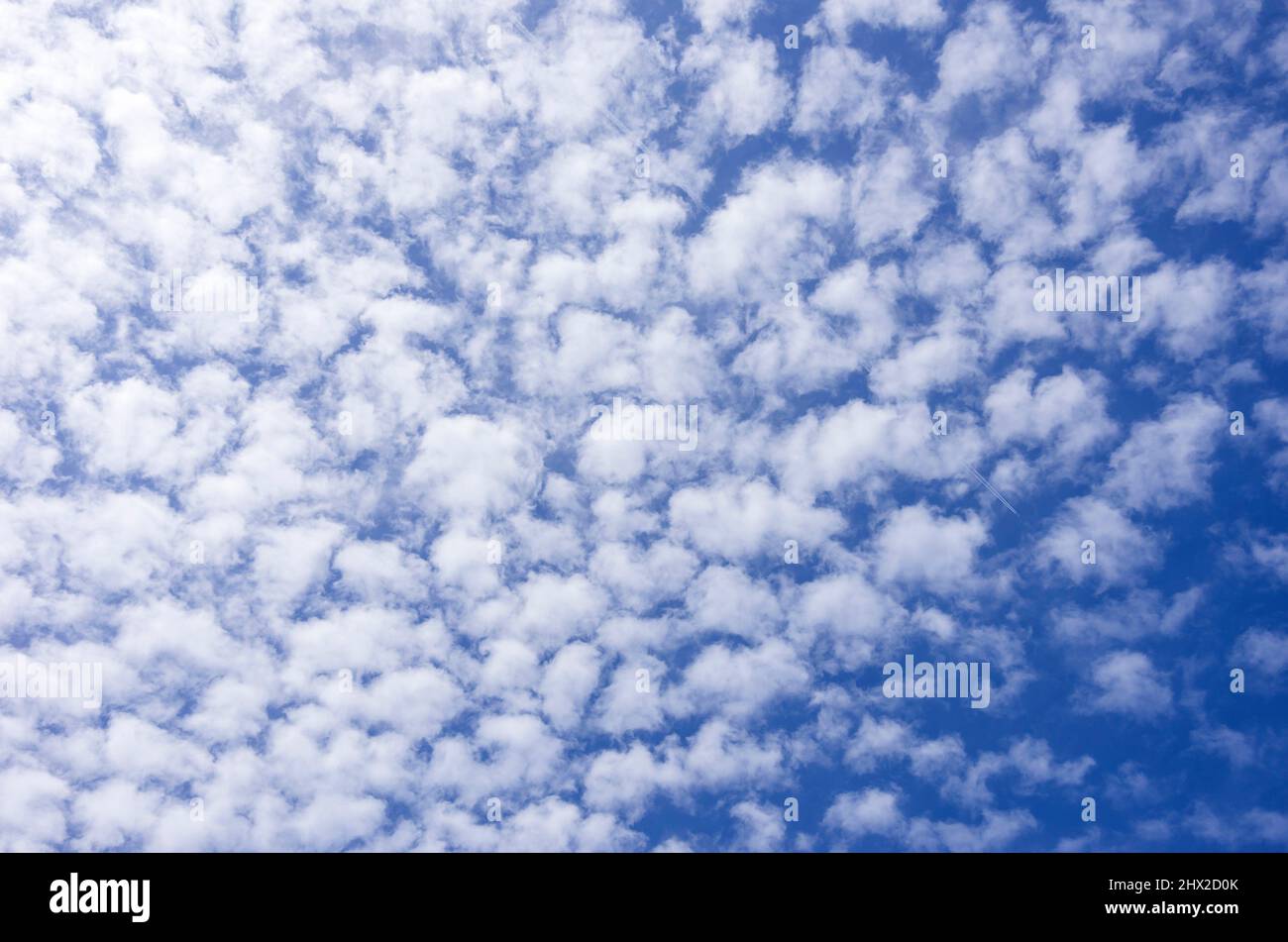 Background of a mackerel sky cloud formation. Stock Photo