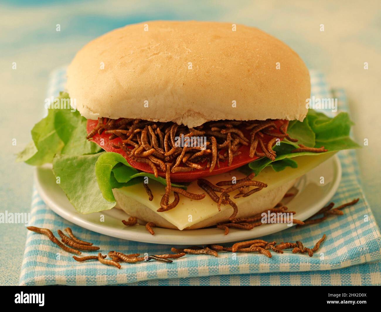 Edible insects burger. Mealworms, Tenebrio molitor,. Stock Photo