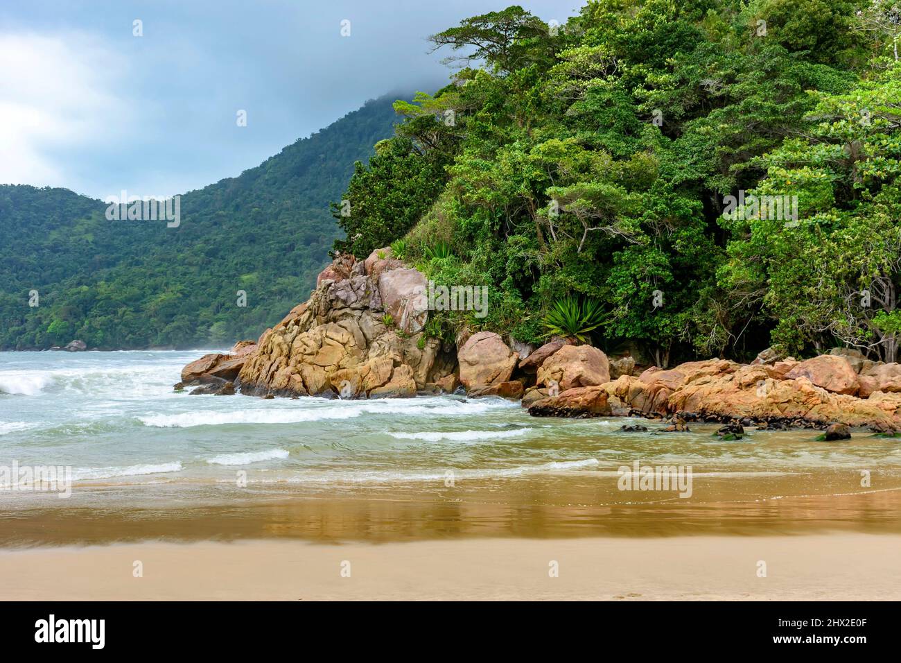 Rainforest encounter with all its exuberance with the sea in Trintade, Rio de Janeiro on a rainy day. Stock Photo