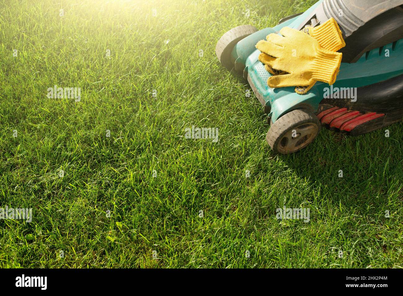 Lawn mower on grass closeup view. Lawn care concept. Stock Photo