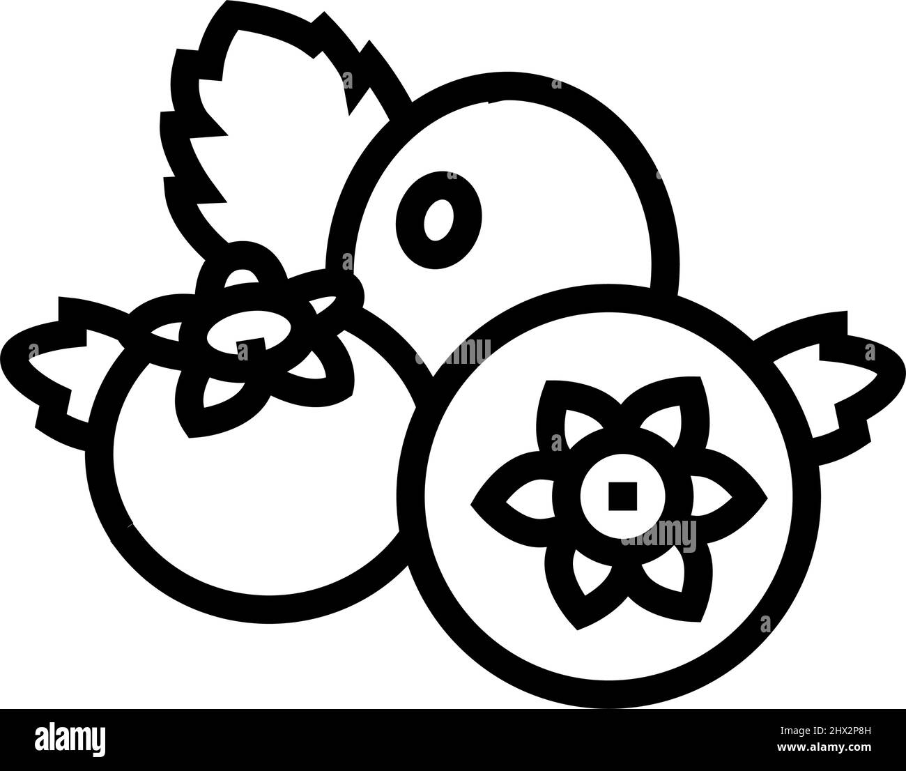 blueberry berry line icon vector illustration Stock Vector Image & Art ...