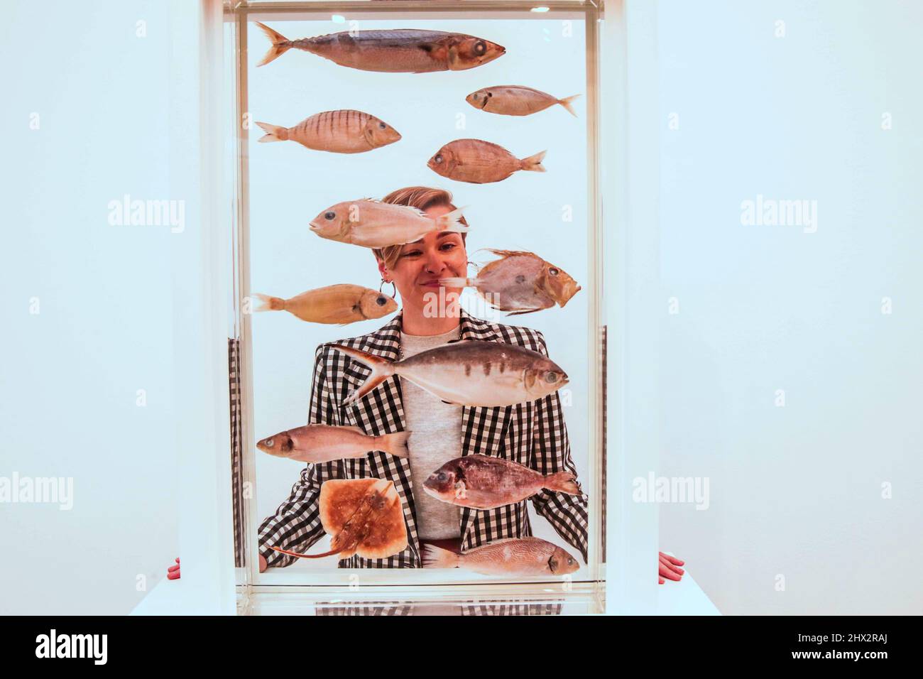 Damien hirst formaldehyde sculptures hi-res stock photography and ...