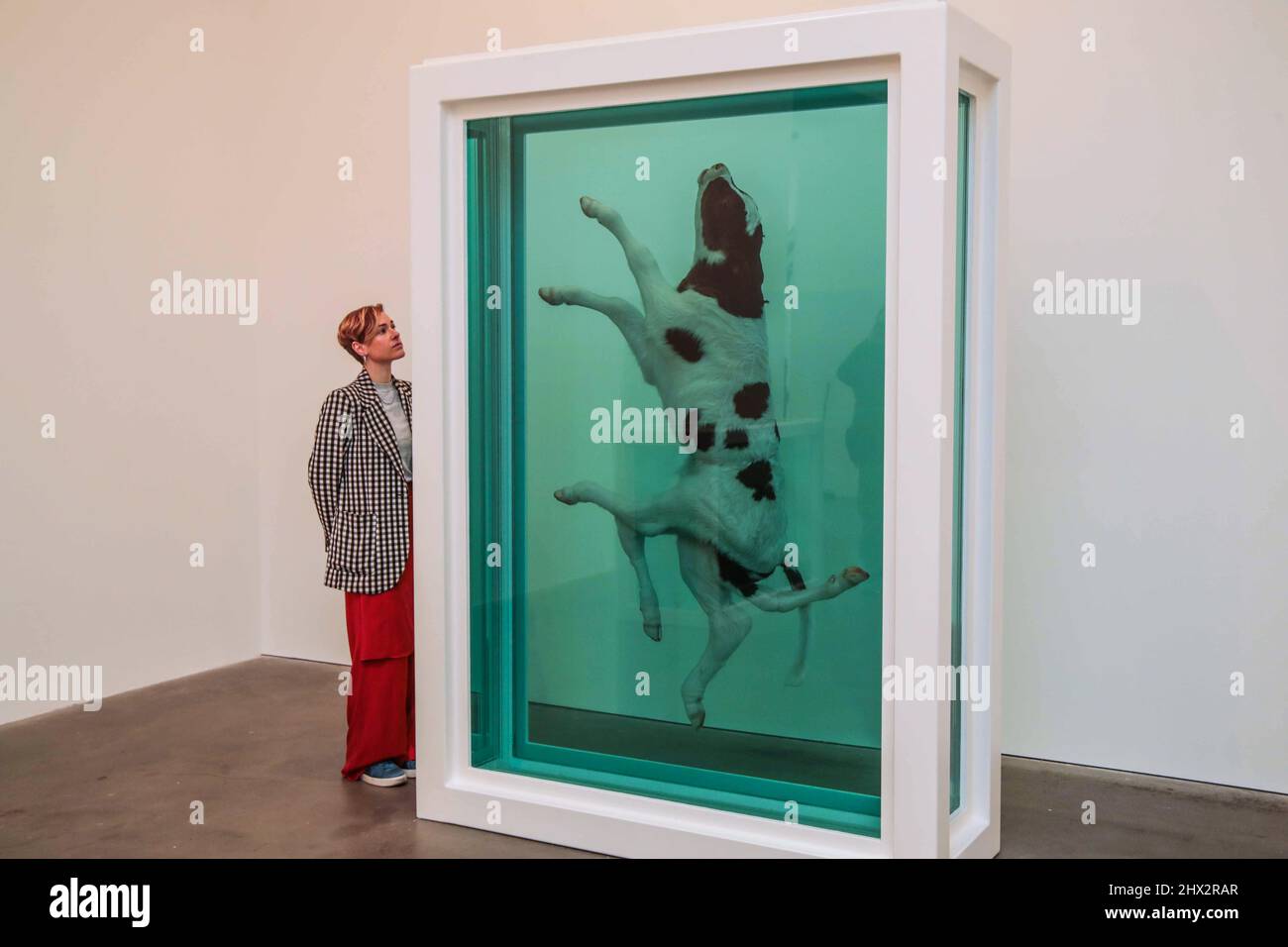 Damien hirst formaldehyde sculptures hi-res stock photography and ...