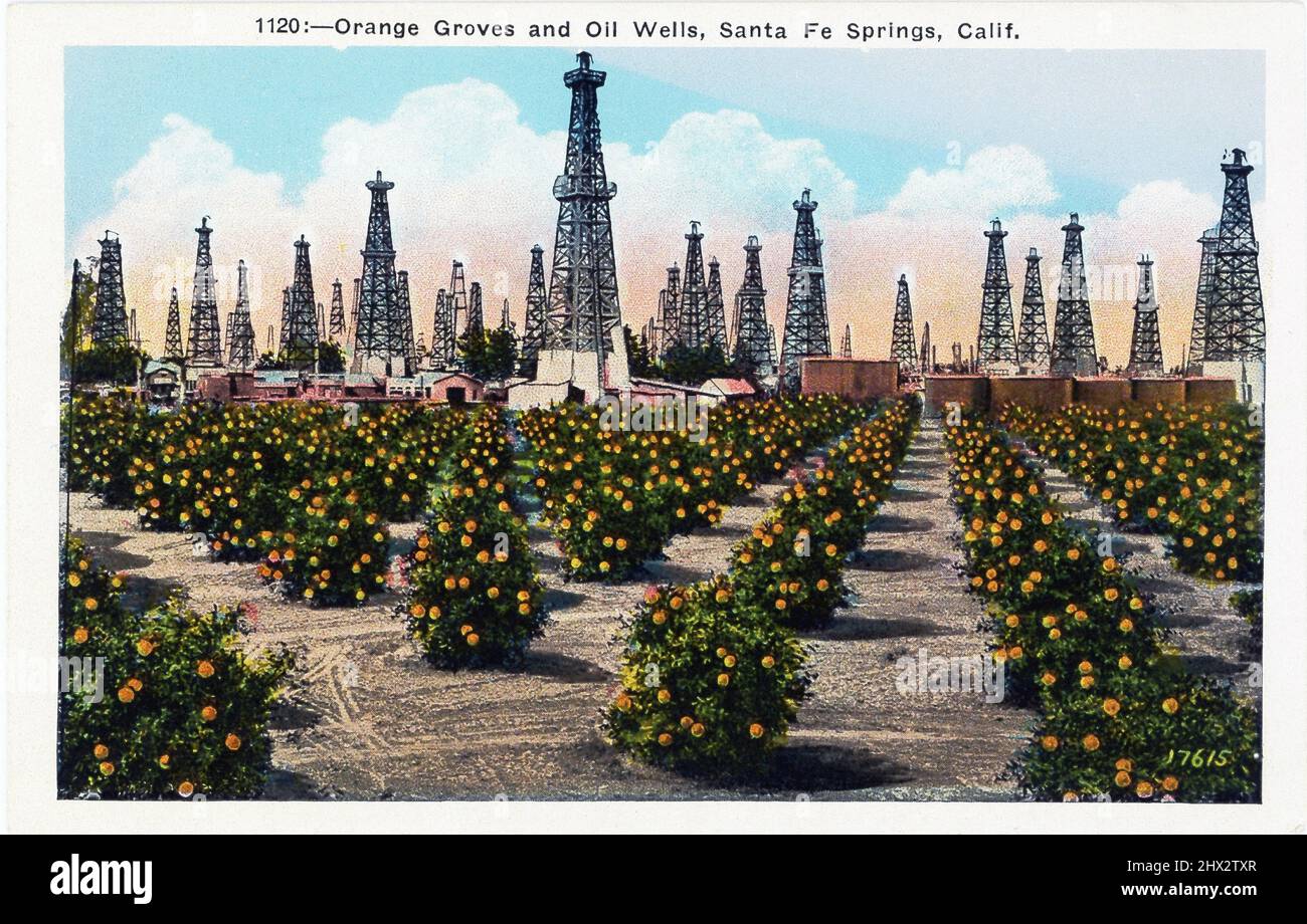 Details about   EXAGGERATED CALIFORNIA ORANGES ANTIQUE REAL PHOTO POSTCARD RPPC collage montage 