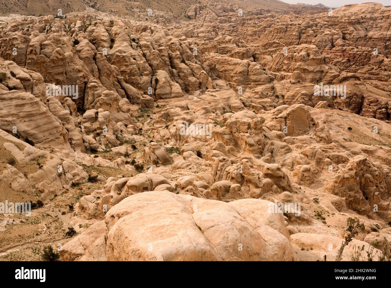 Petra, panoramic view (UNESCO World Heritage). Ma'an Governorate, Jordan. Stock Photo