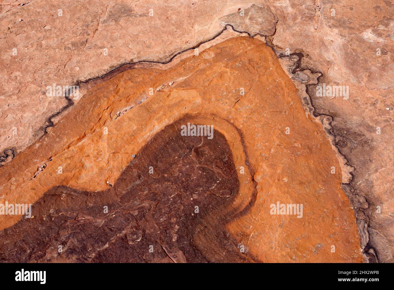 Sandstone with a sinuose dark layer rich in iron oxide. Petra, Ma'an Governorate, Jordan. Stock Photo