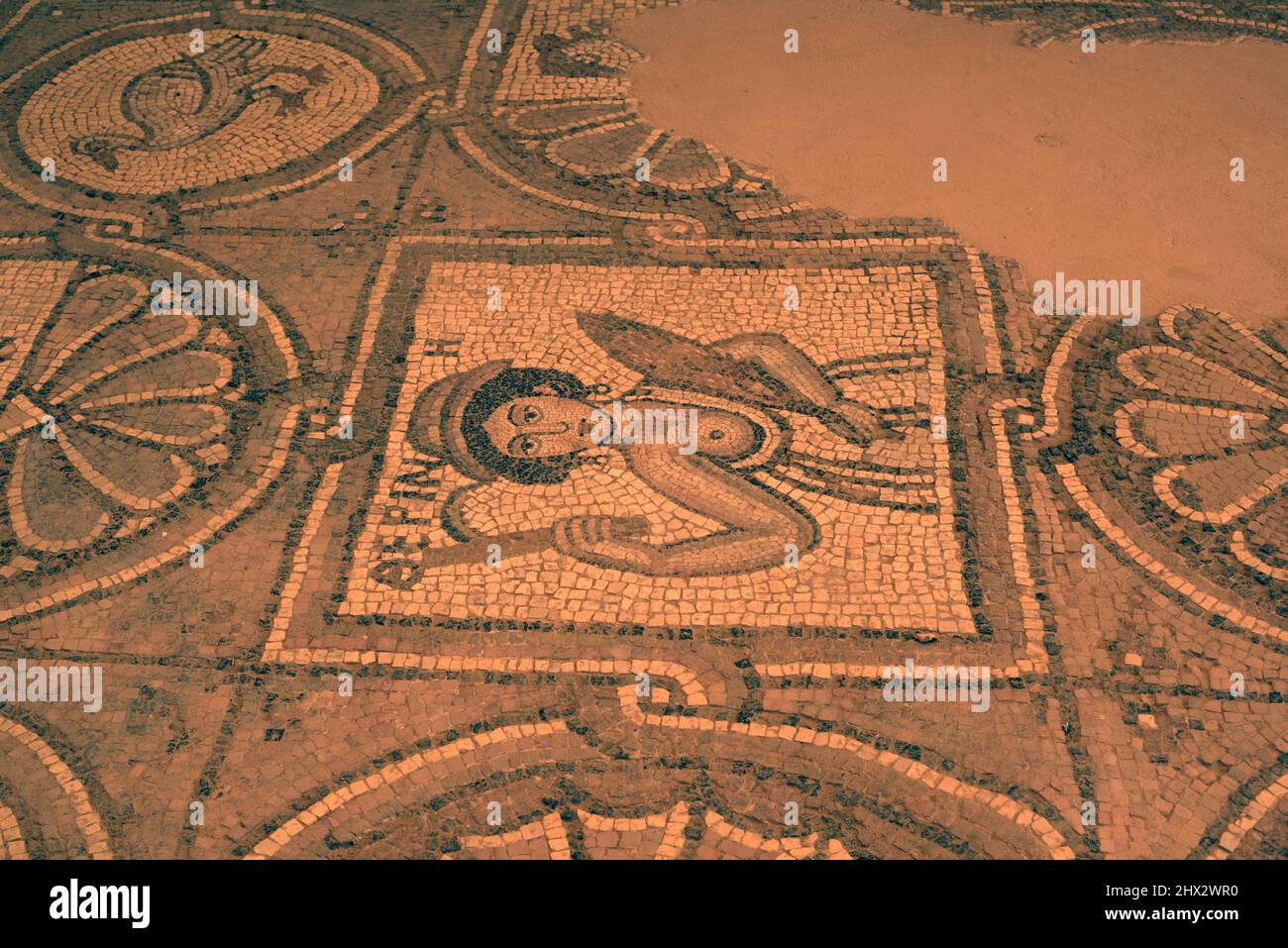 Mosaics of byzantine church of Petra (6th century), UNESCO World Heritage. Ma'an Governorate, Jordan. Stock Photo