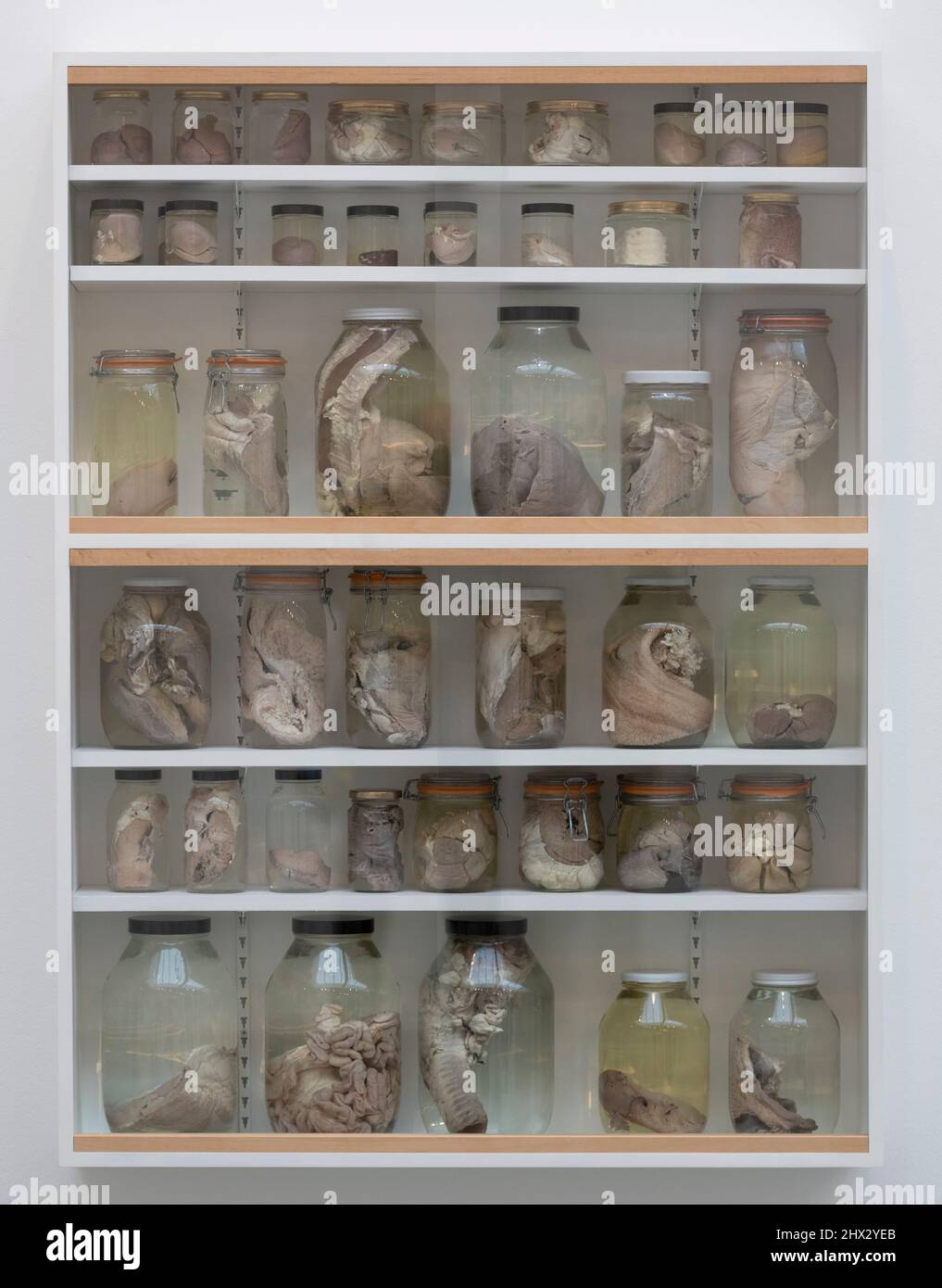 Gagosian Gallery, London, UK. 9 March 2022. Natural History, over 20 of Damien Hirst’s formaldehyde sculptures spanning a 30 year period go on display at Gagosian, opening from 10 March. Image: Damien Hirst, The Impossible Lovers, 1991. Credit: Malcolm Park/Alamy Live News Stock Photo