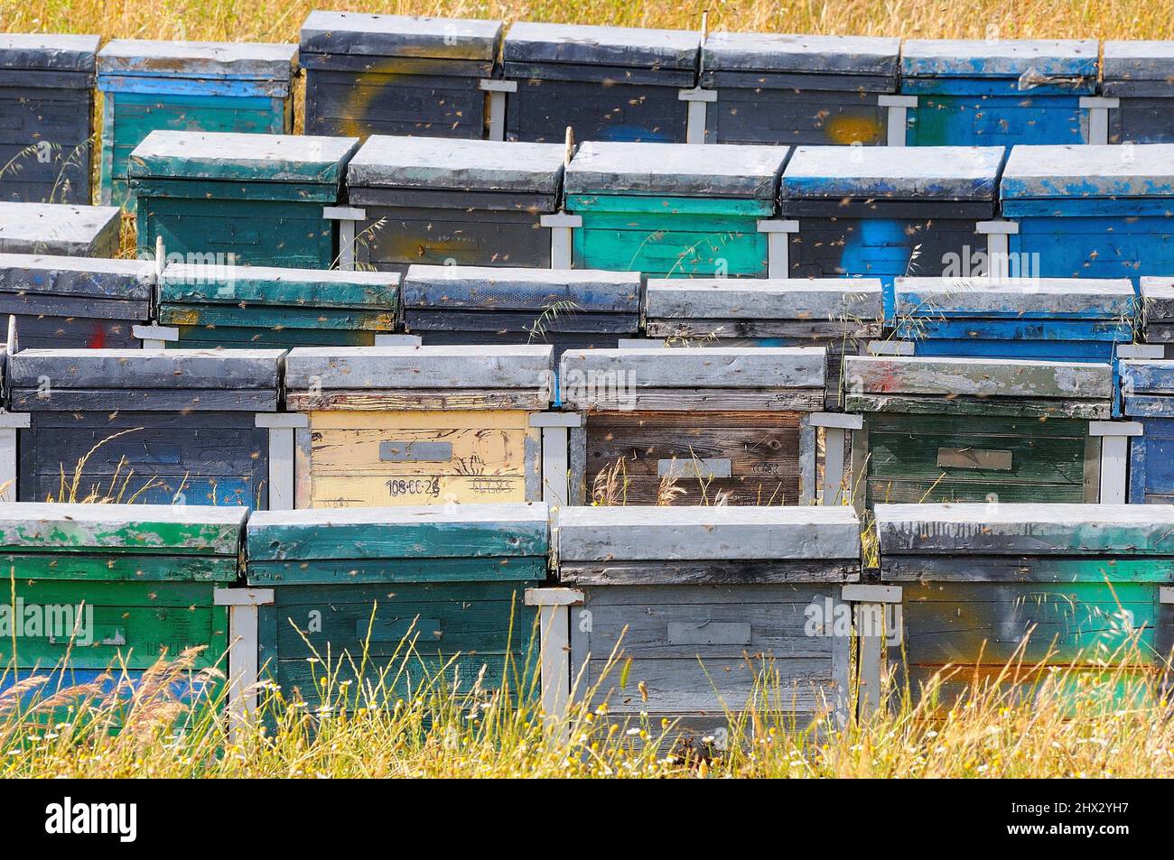 Beehives. Alburquerque. Badajoz province. Extremadura. Spain Stock Photo