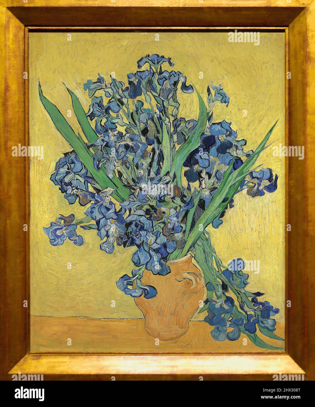 Iris, is an Post-Impressionism painting by Dutch artist Vincent van Gogh (1853–1890). Van Gogh Museum, Amsterdam, Netherlands. Stock Photo