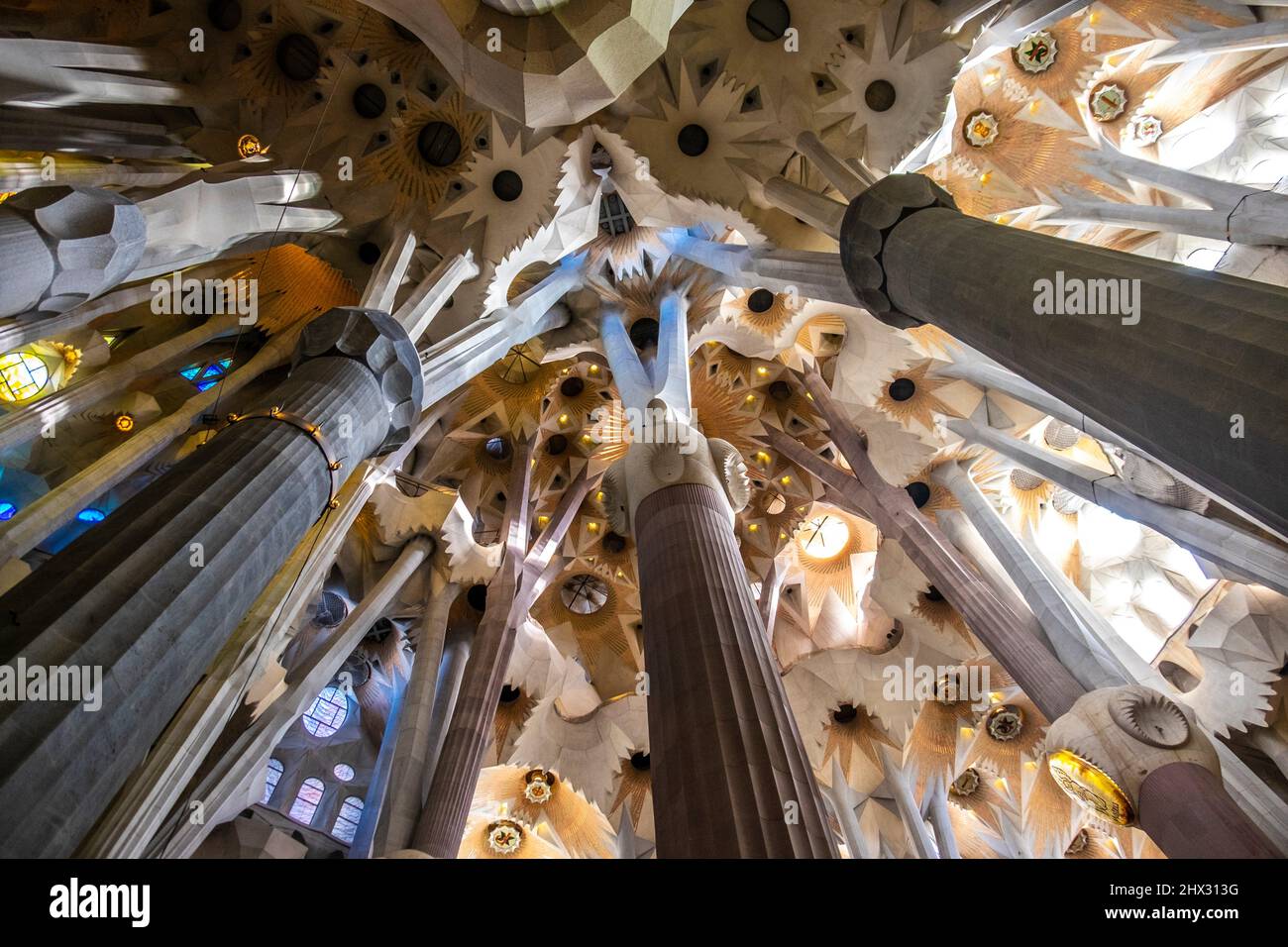 The famous ceiling with pillars inside the Sagrada Familia by Antoni