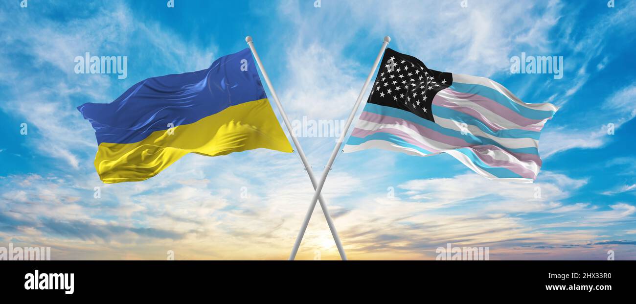 crossed national flags of Ukraine and TransAmerica flag waving in wind ...