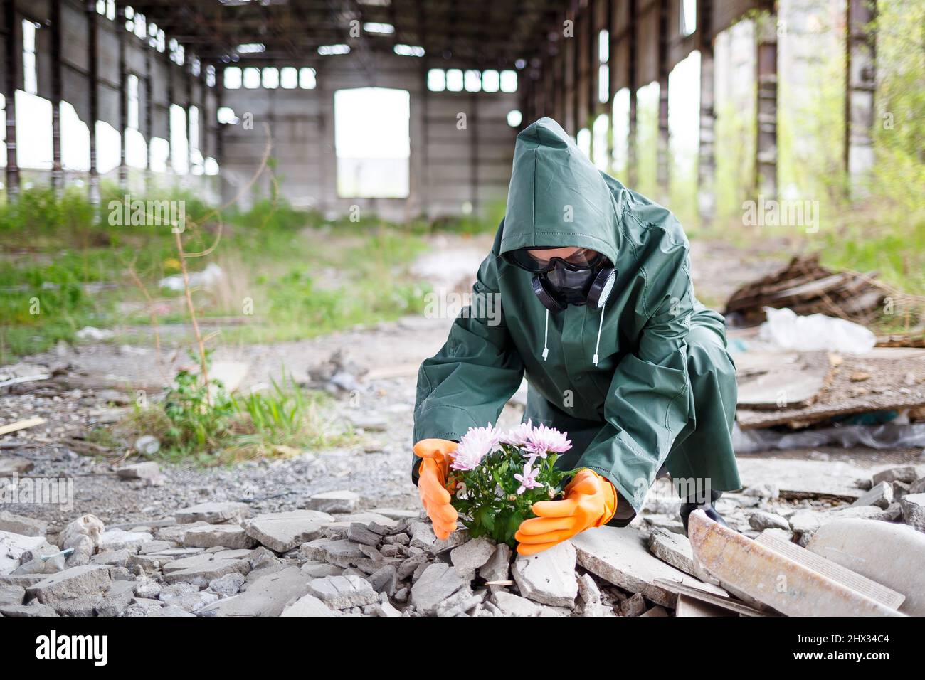 A man in a raincoat and gas mask collects a flower from a scorched, toxic land. Air pollution concept. Ecological catastrophy. Stock Photo