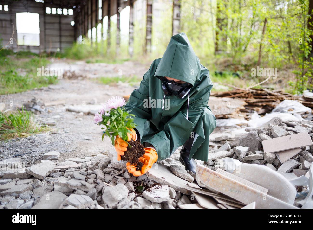 A man in a raincoat and gas mask collects a flower from a scorched, toxic land. Air pollution concept. Ecological catastrophy. Stock Photo
