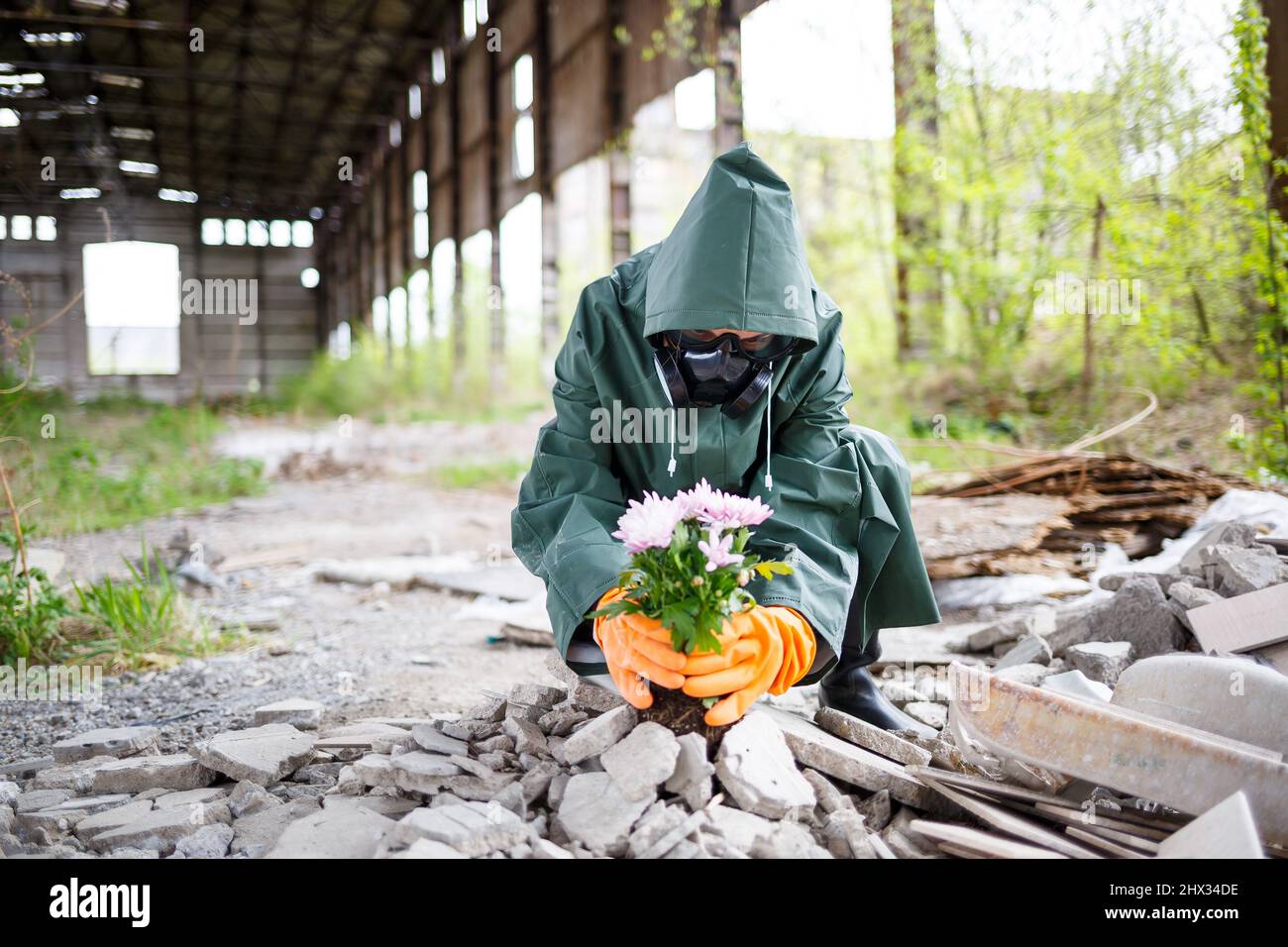 A man in a raincoat and gas mask collects a flower from a scorched, toxic land. Air pollution concept. Ecological catastrophy. Stock Photo