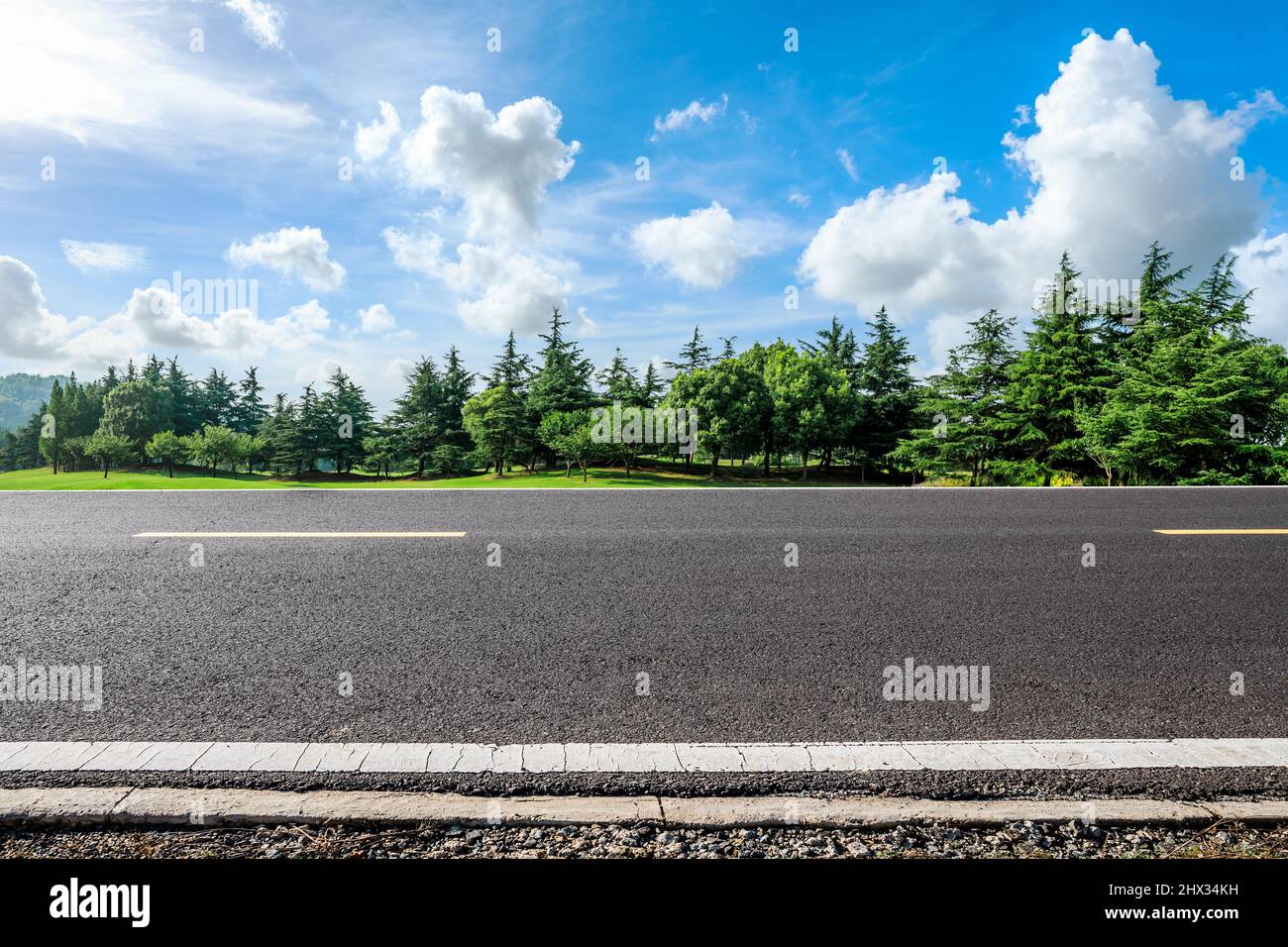 Asphalt road and green forest nature scenery under blue sky Stock Photo ...