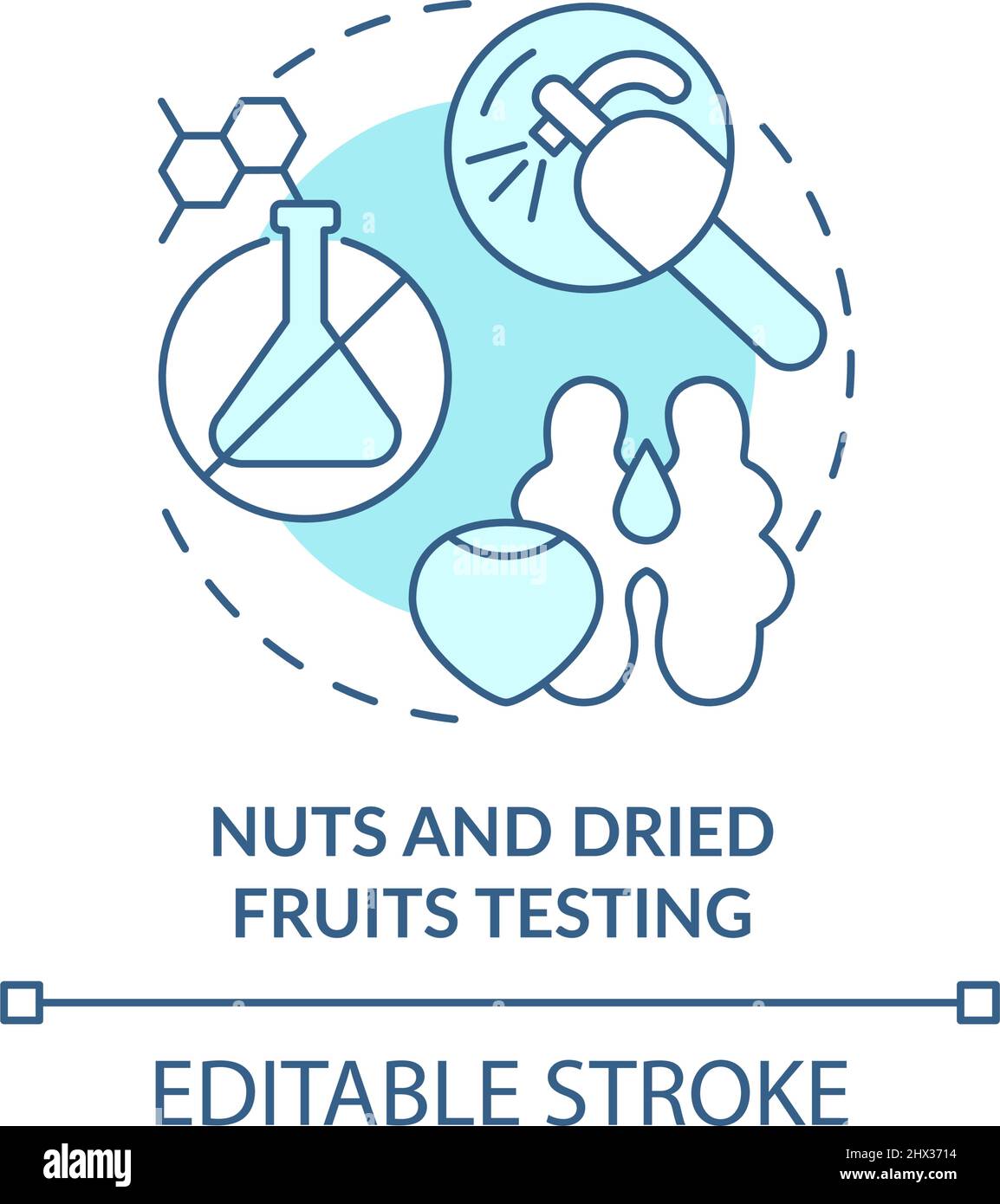 Nuts and dried fruits testing turquoise concept icon Stock Vector