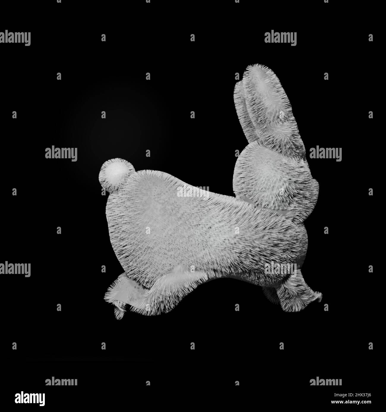 Baby rabbit isolated on black background. Stock Photo
