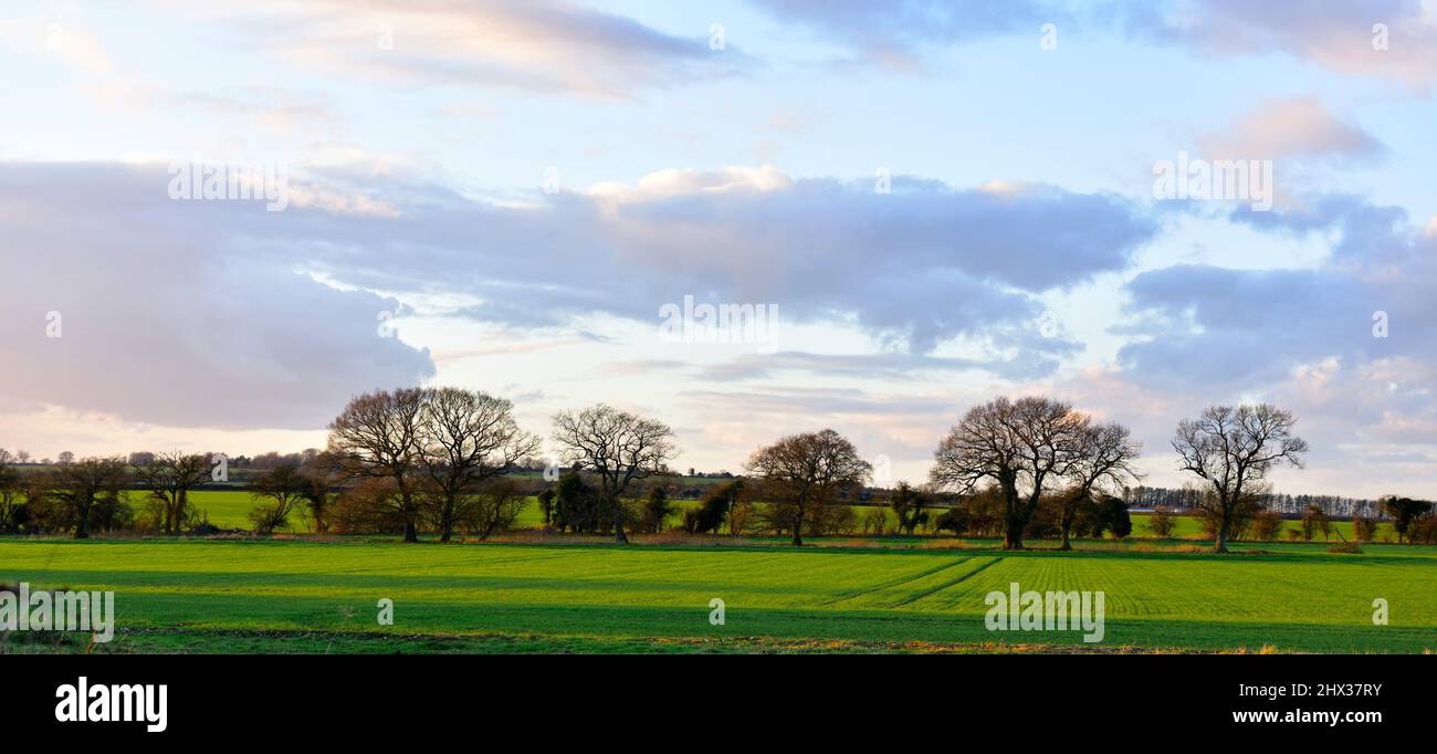 Green fields and Hampshire countryside outside Basingstoke, UK Stock Photo